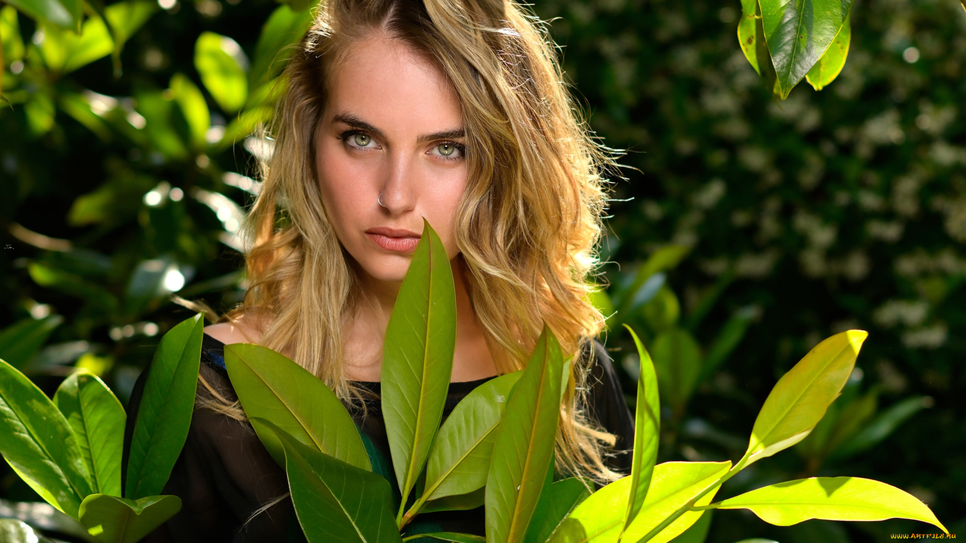 девушки, -, лица, , портреты, девушка