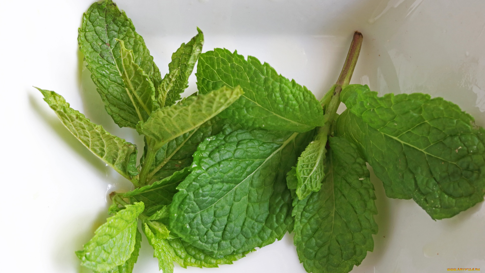 еда, разное, мята