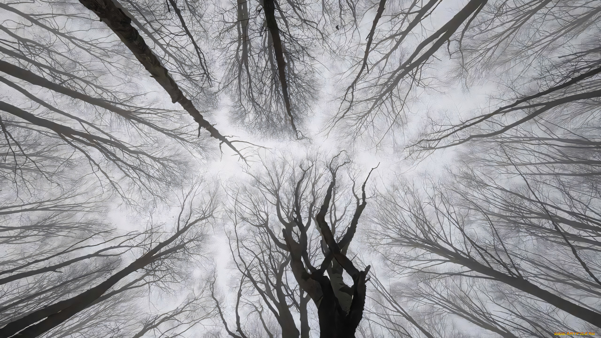 рисованное, vladstudio