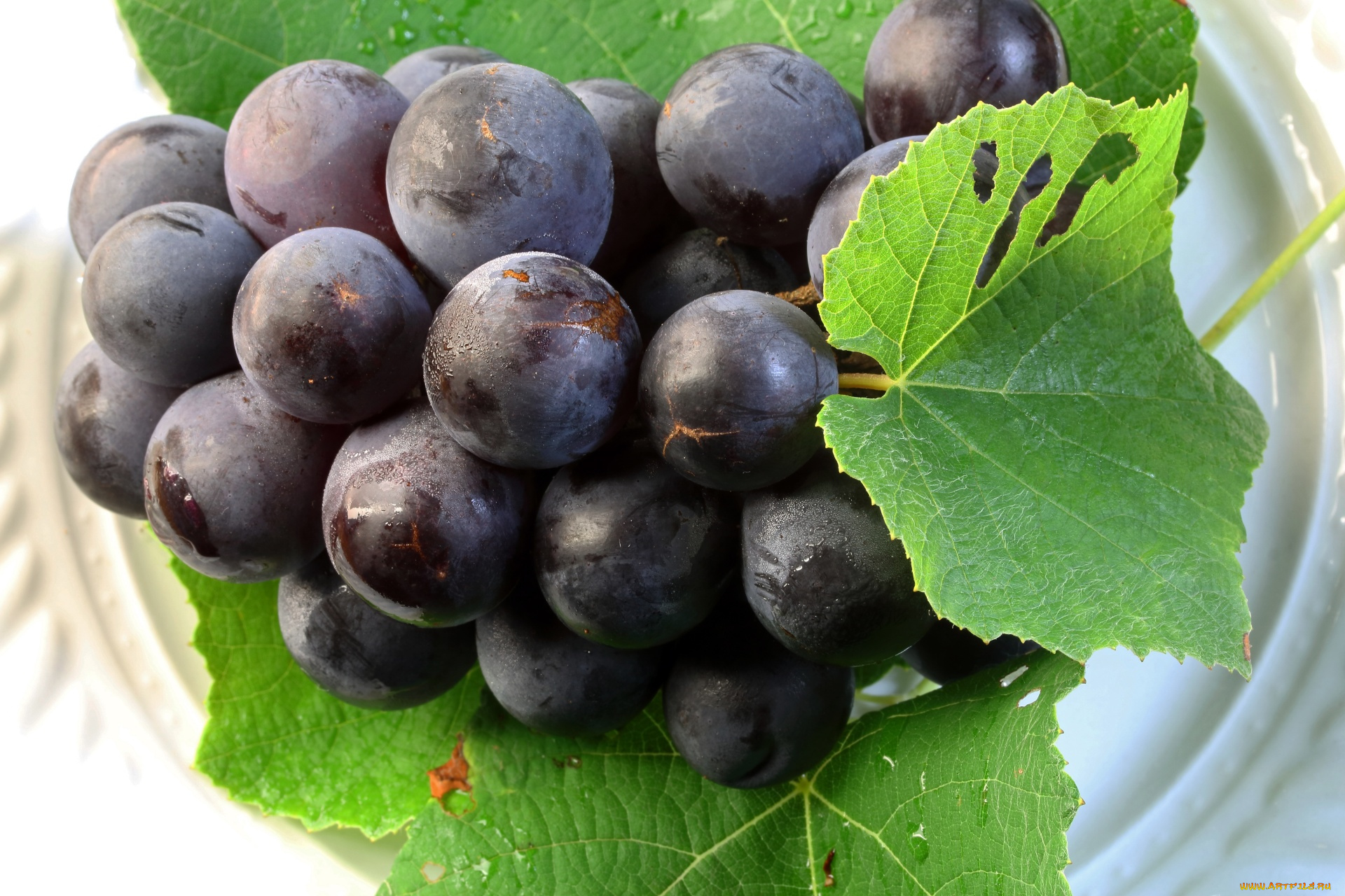 еда, виноград, ягоды, макро