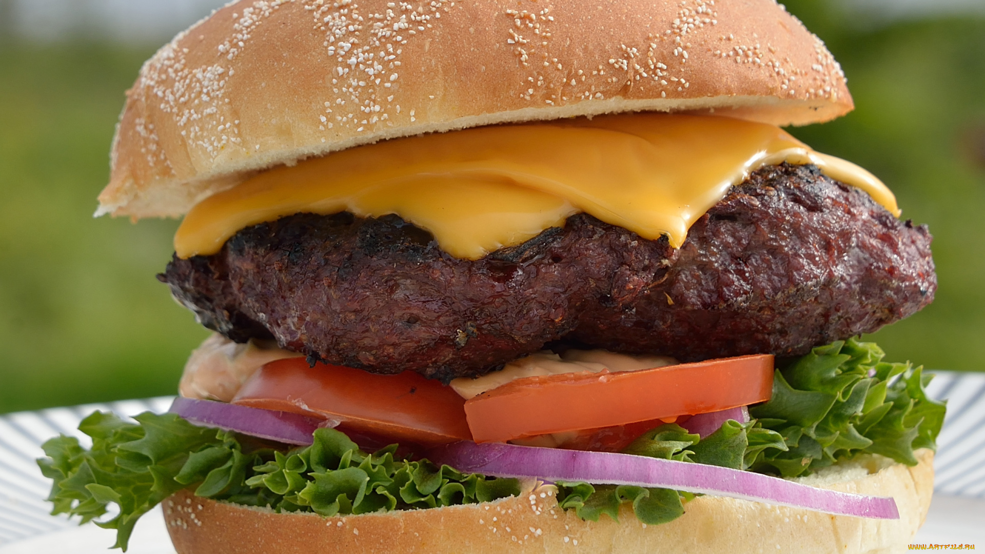 еда, бутерброды, , гамбургеры, , канапе, булочка, сыр, гамбургер, котлета, макро