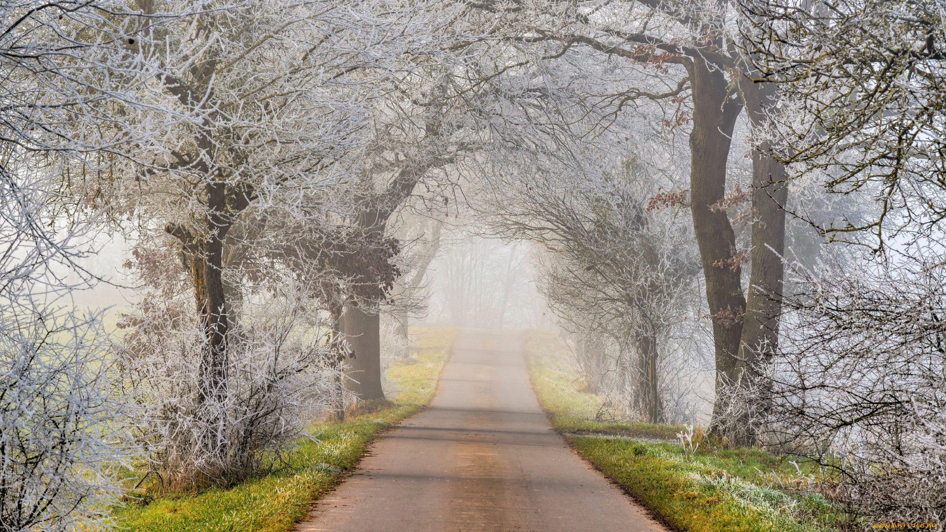 природа, дороги, зима