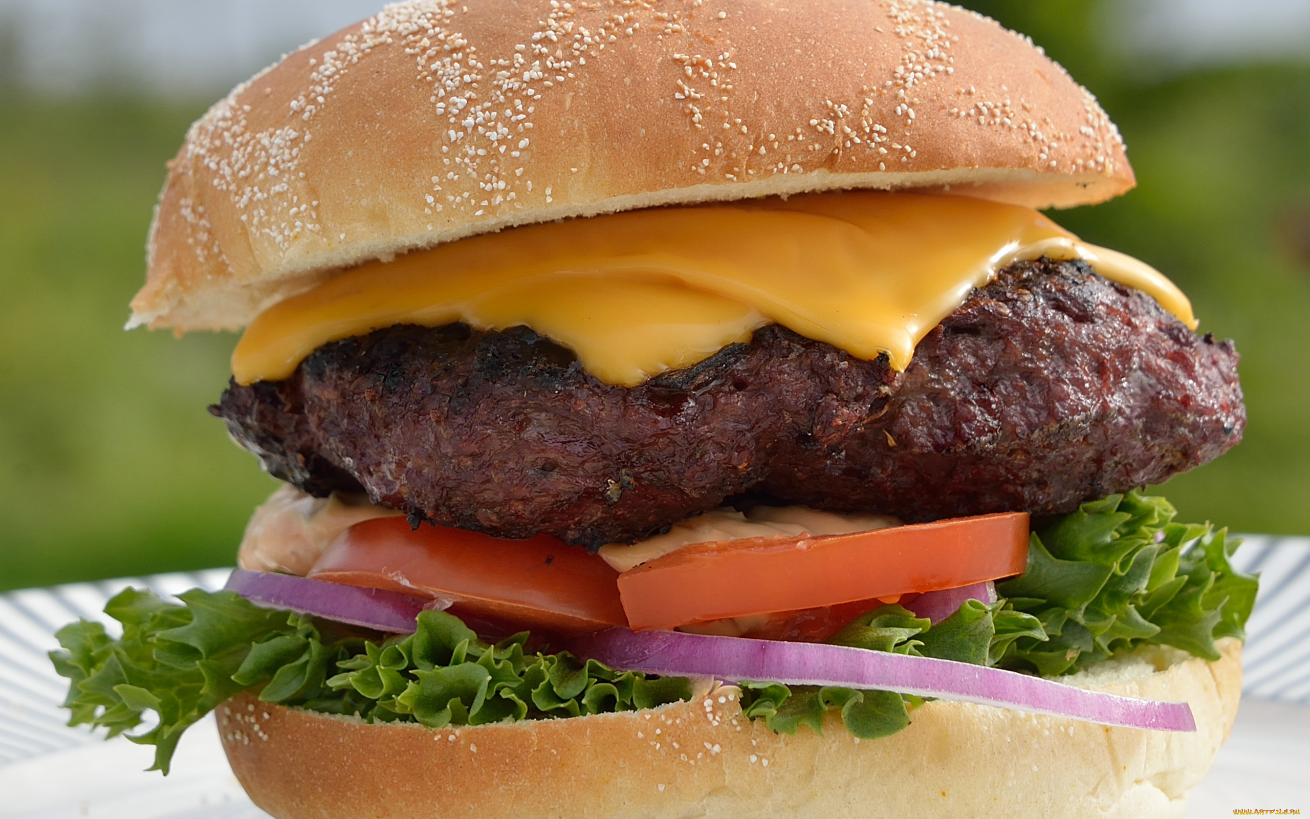 еда, бутерброды, , гамбургеры, , канапе, булочка, сыр, гамбургер, котлета, макро