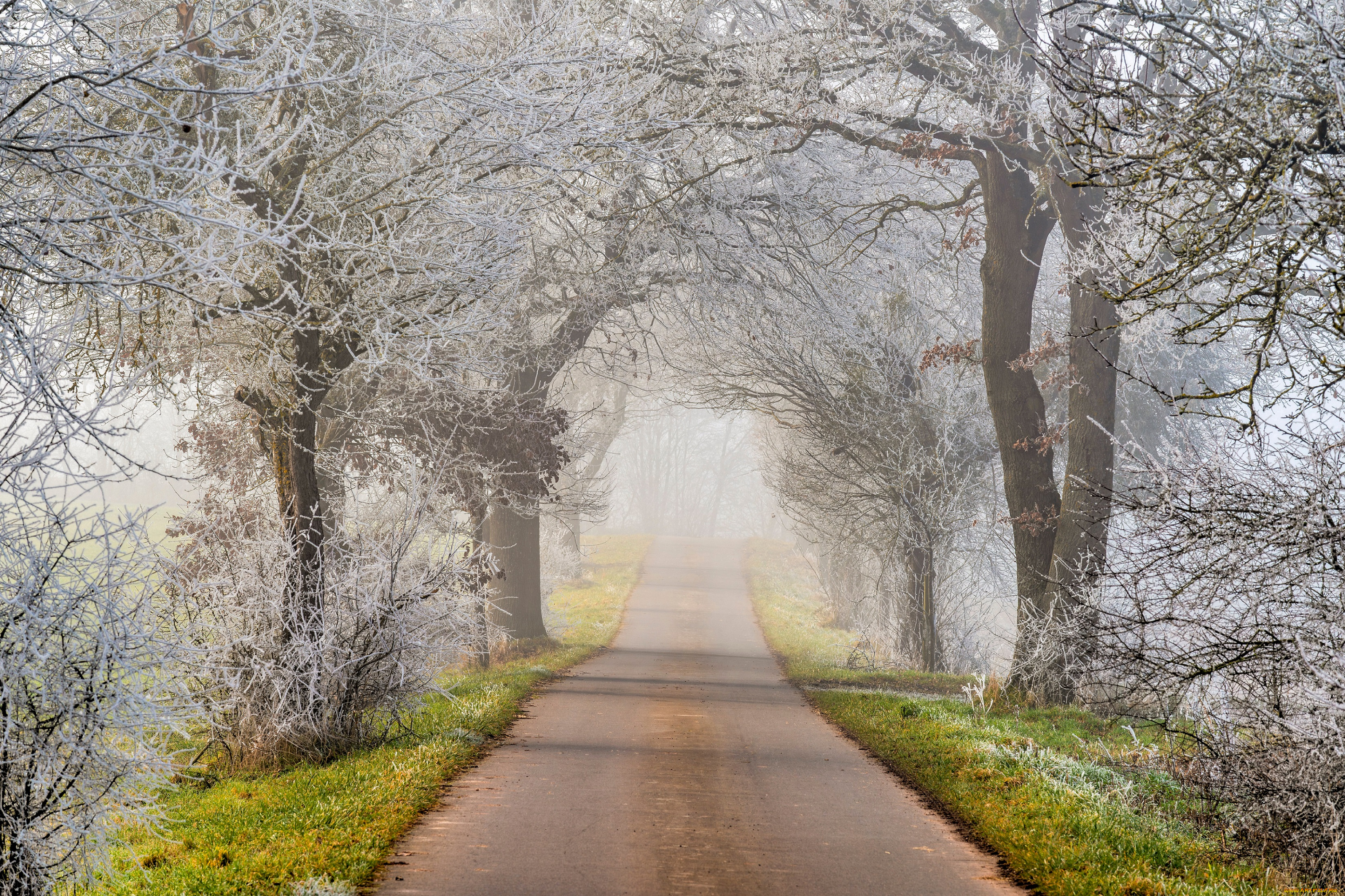 природа, дороги, зима