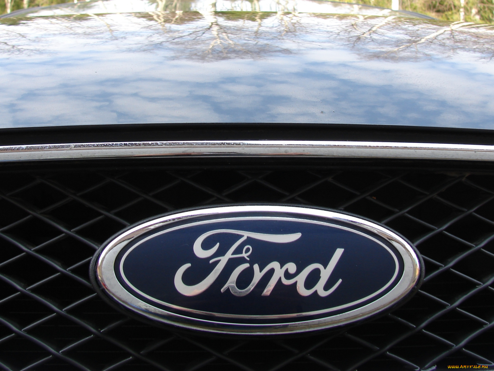 ford, бренды, авто, мото, unknown