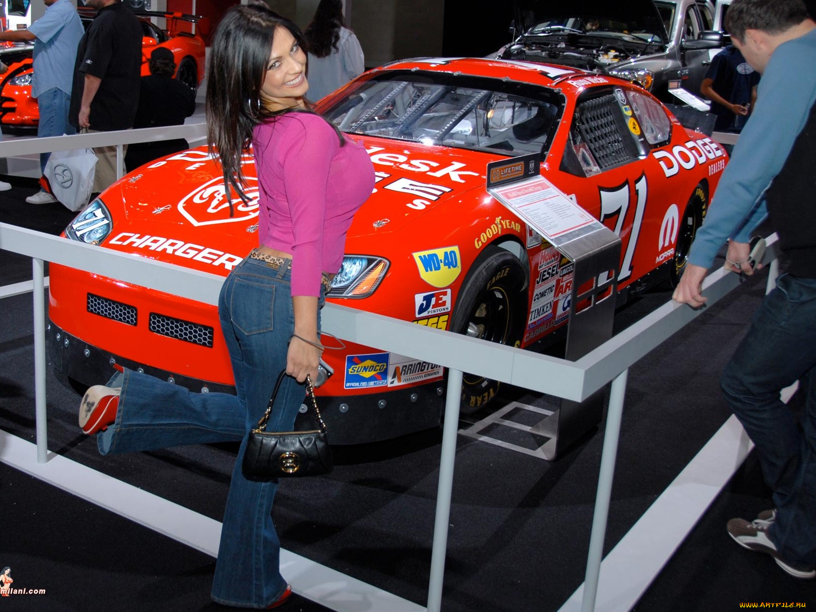 denise, milani, автомобили, авто, девушками
