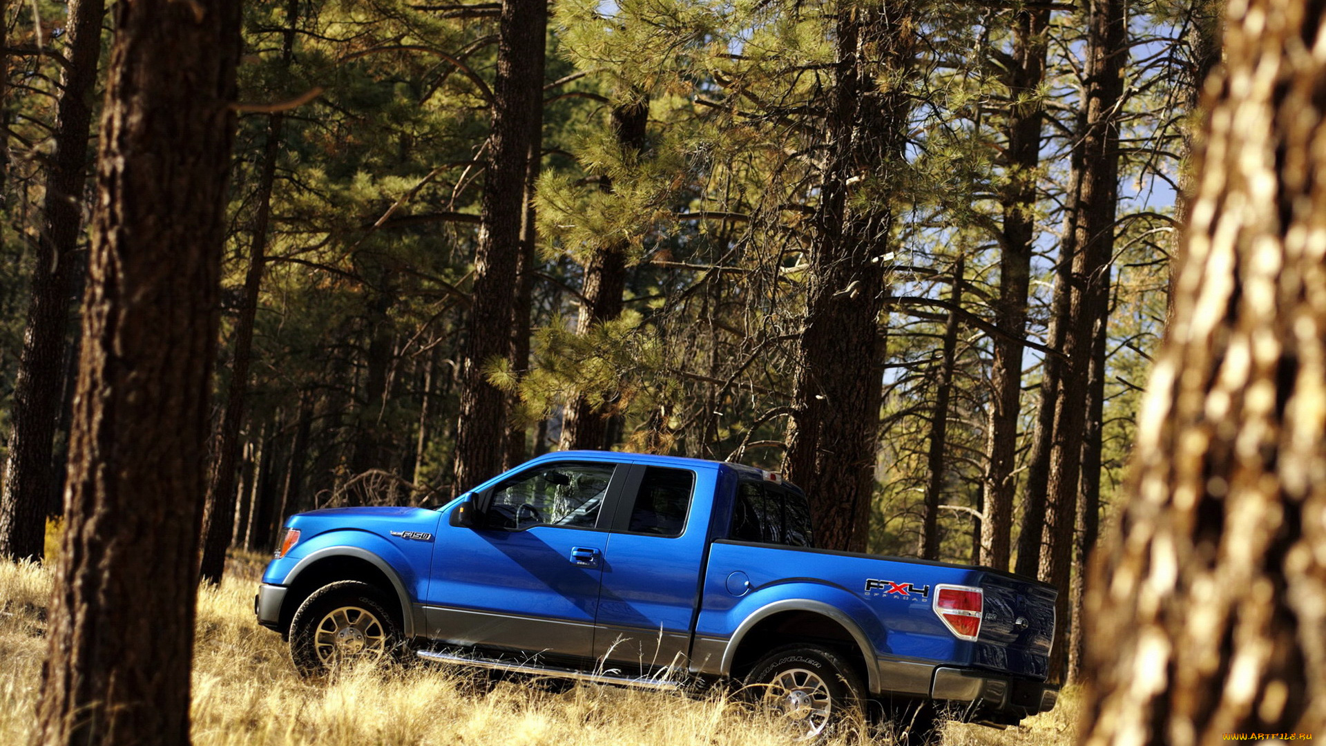 ford, 150, fx4, автомобили