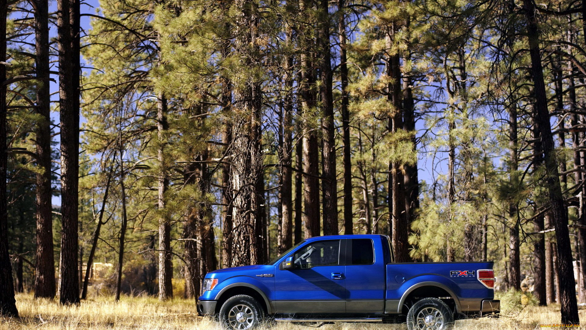 ford, 150, fx4, автомобили