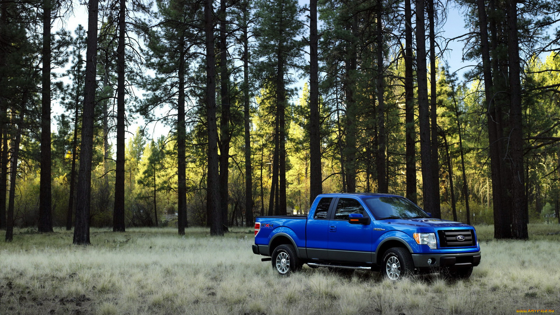 ford, 150, fx4, автомобили