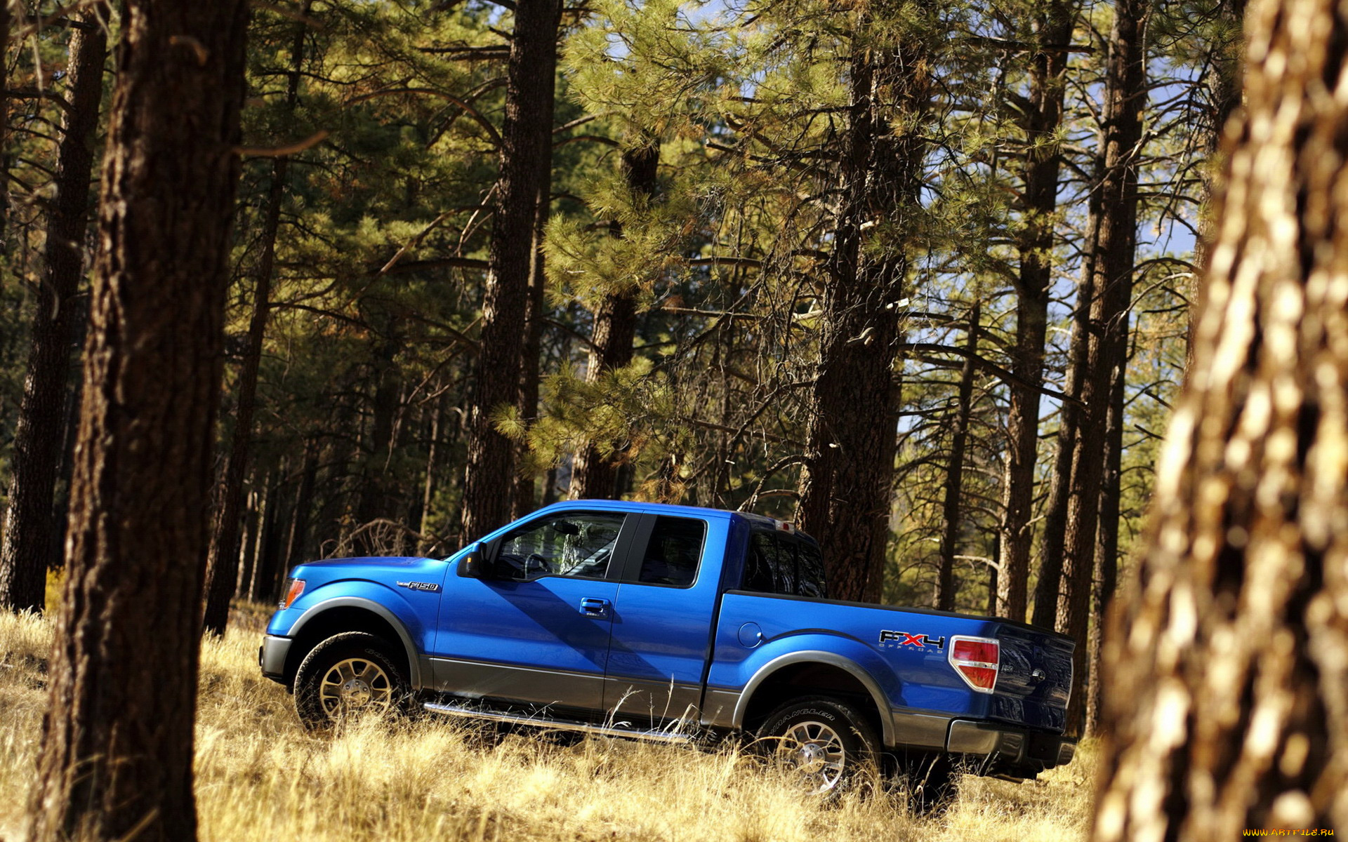 ford, 150, fx4, автомобили