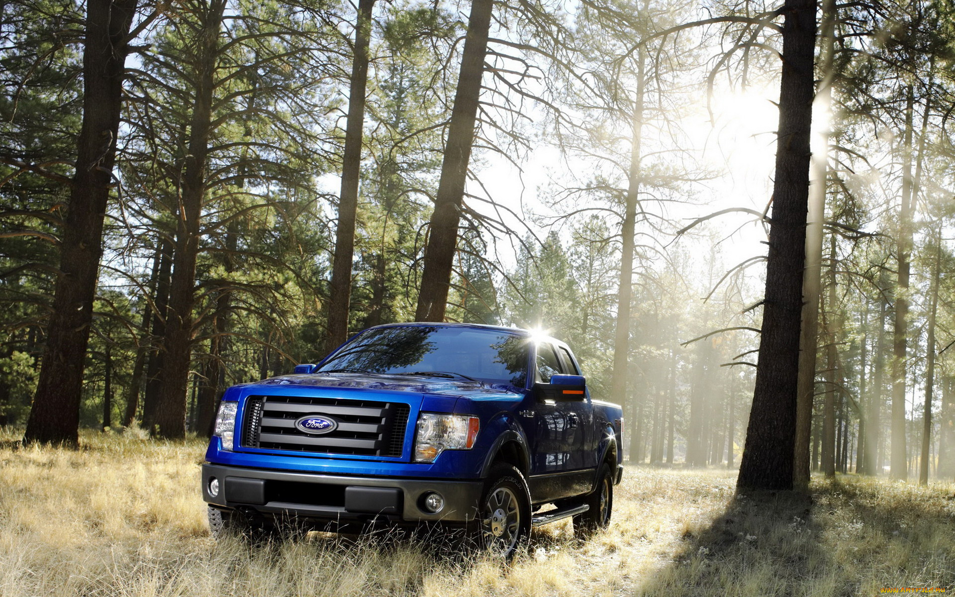 ford, 150, fx4, автомобили