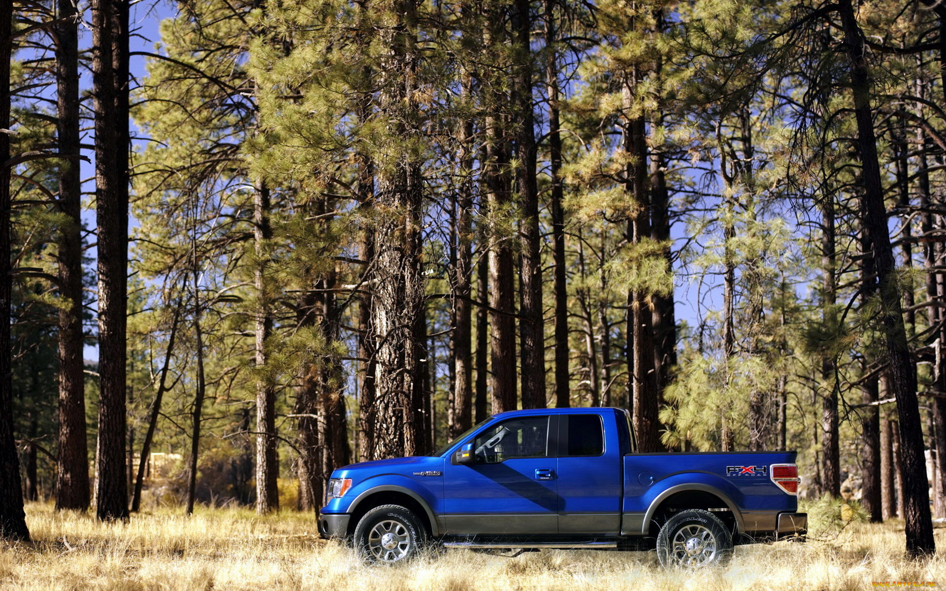 ford, 150, fx4, автомобили