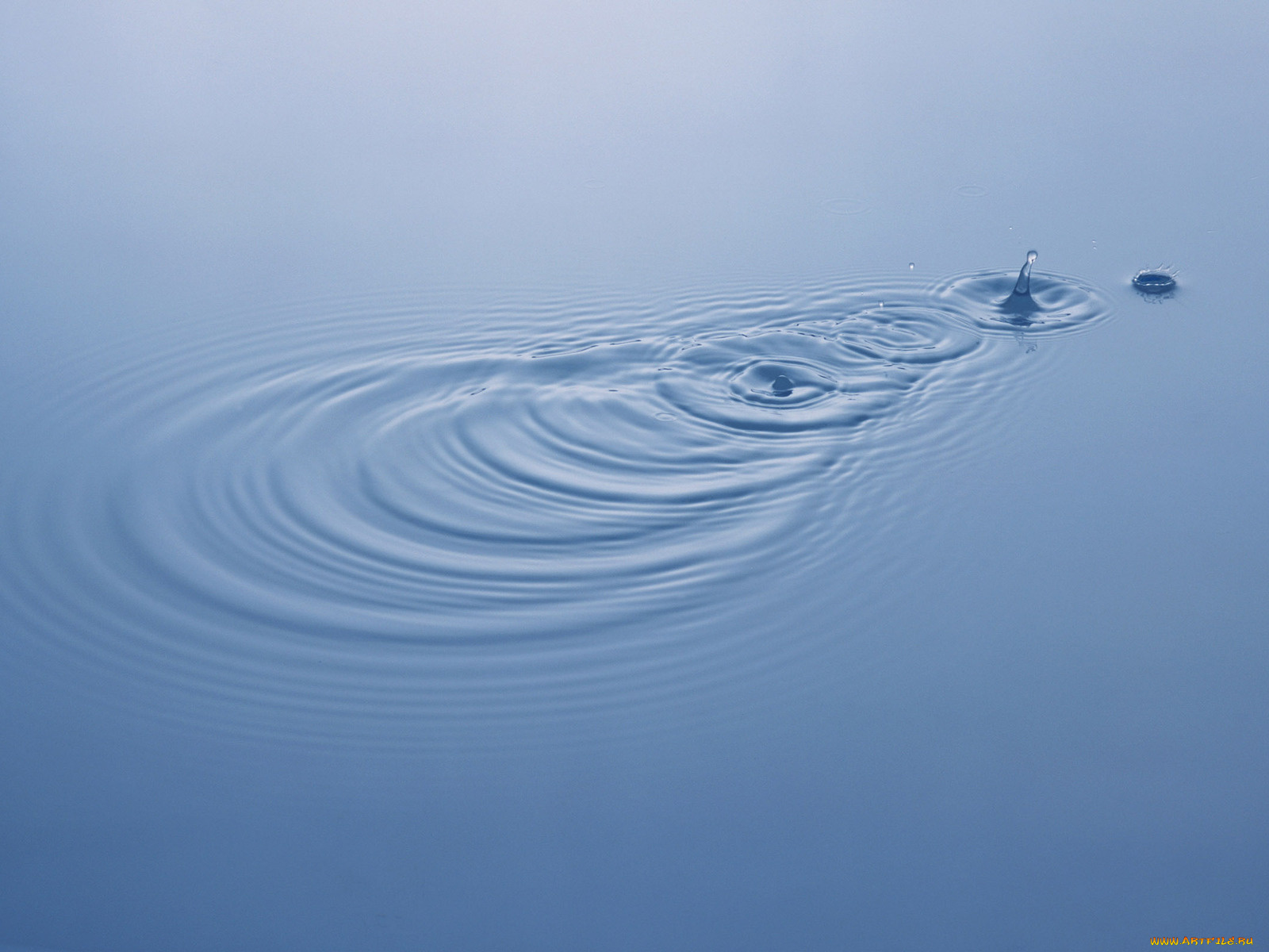 разное, капли, брызги, всплески