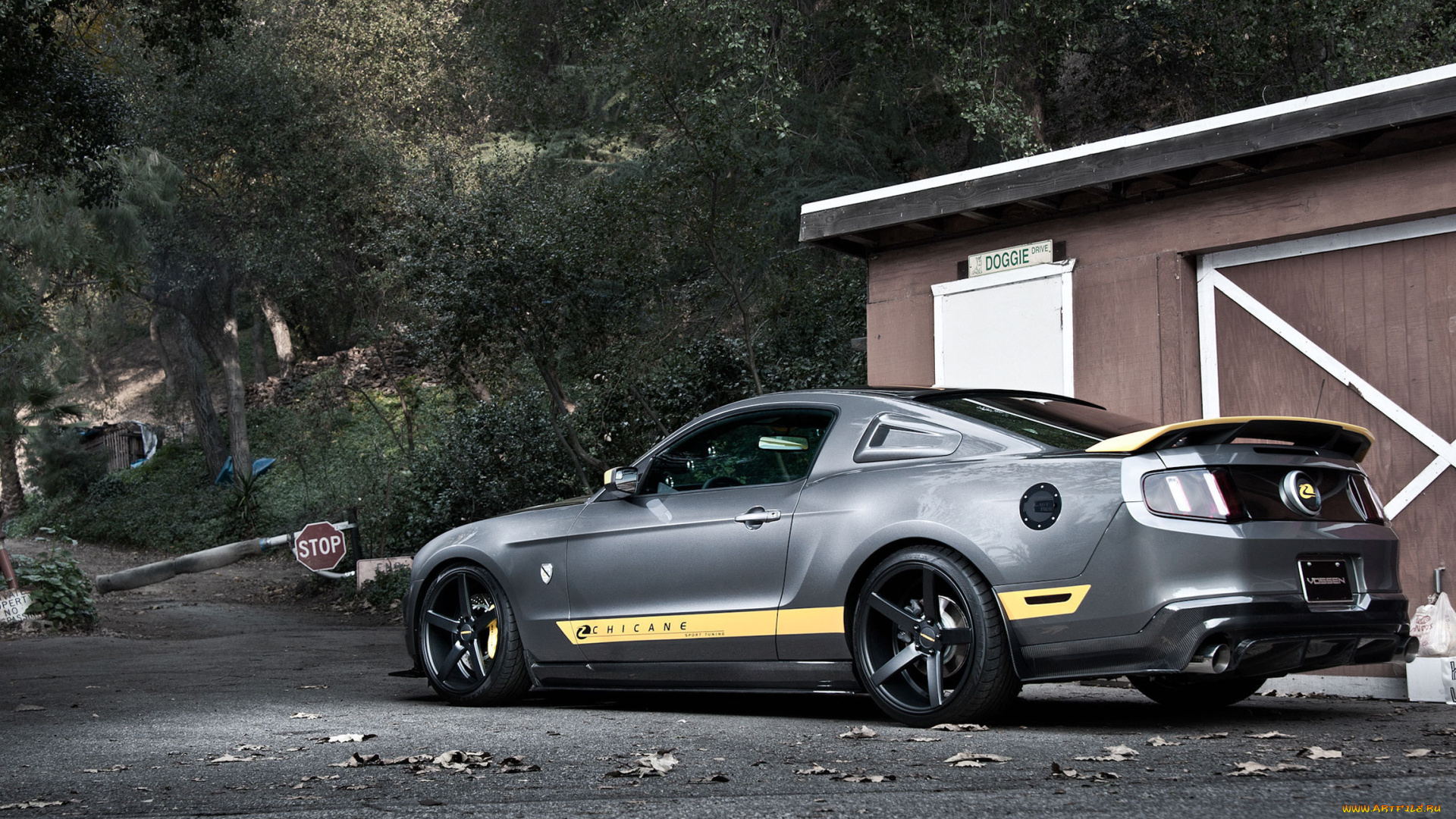 автомобили, mustang