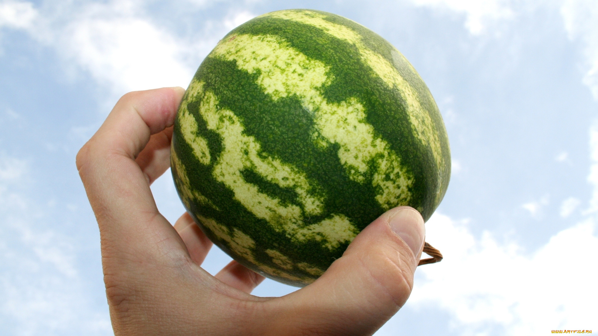 еда, арбуз, рука, урожай, небо