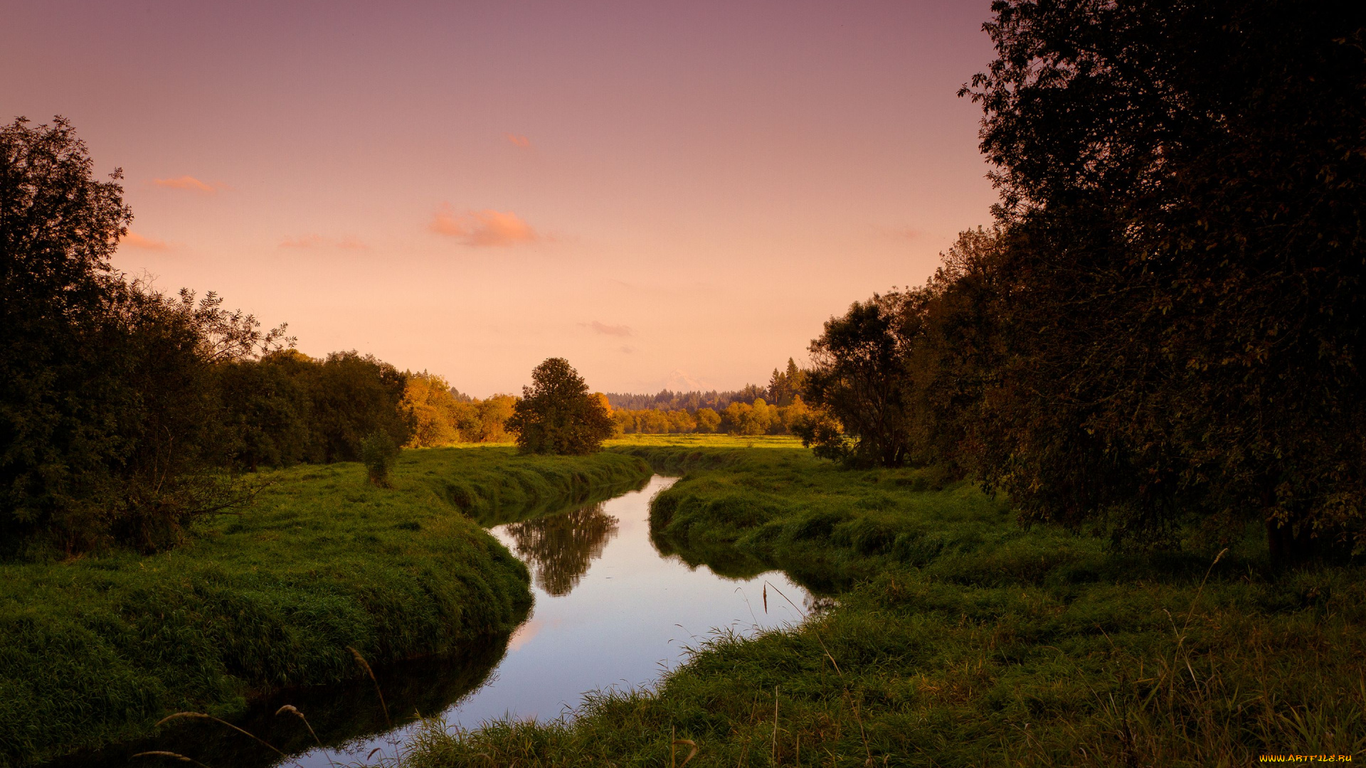 природа, реки, озера, лес, деревья, река
