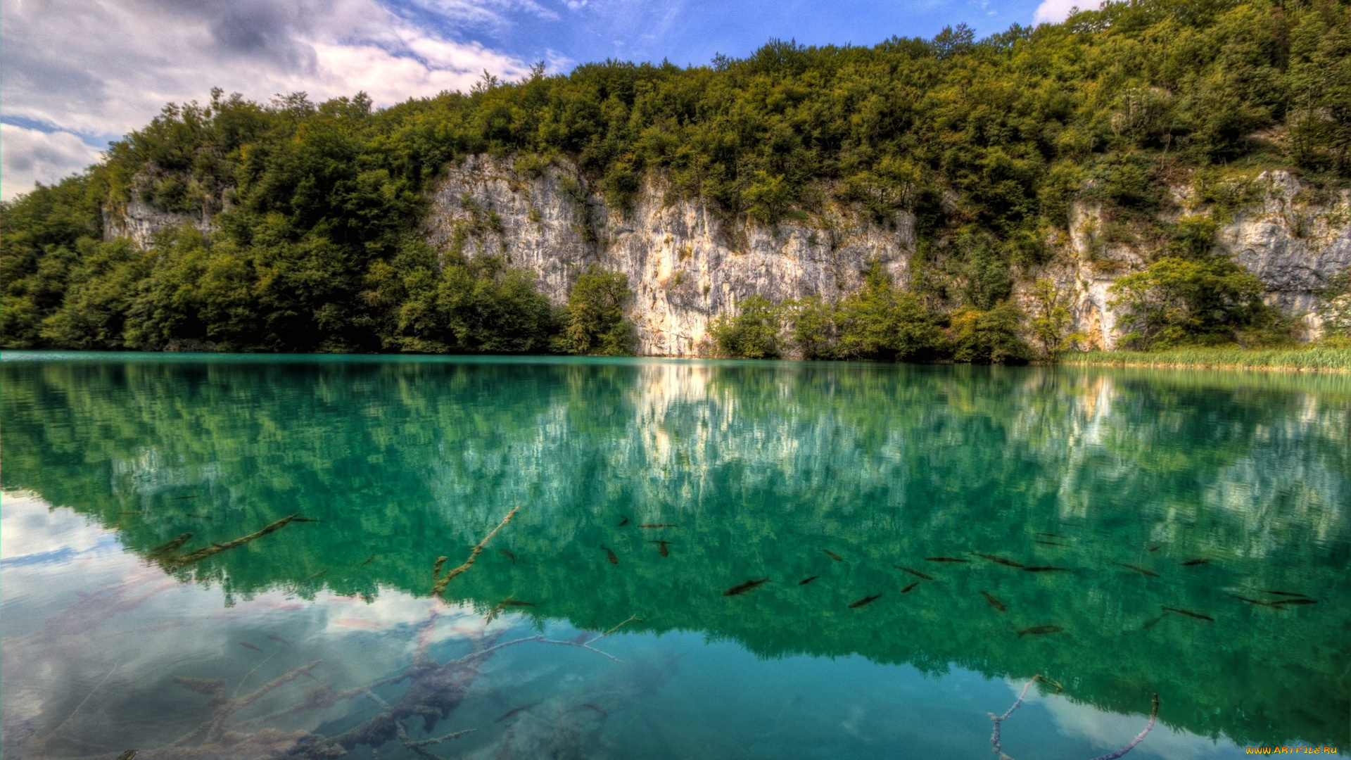 природа, реки, озера, вода, отражение, обрыв, лес