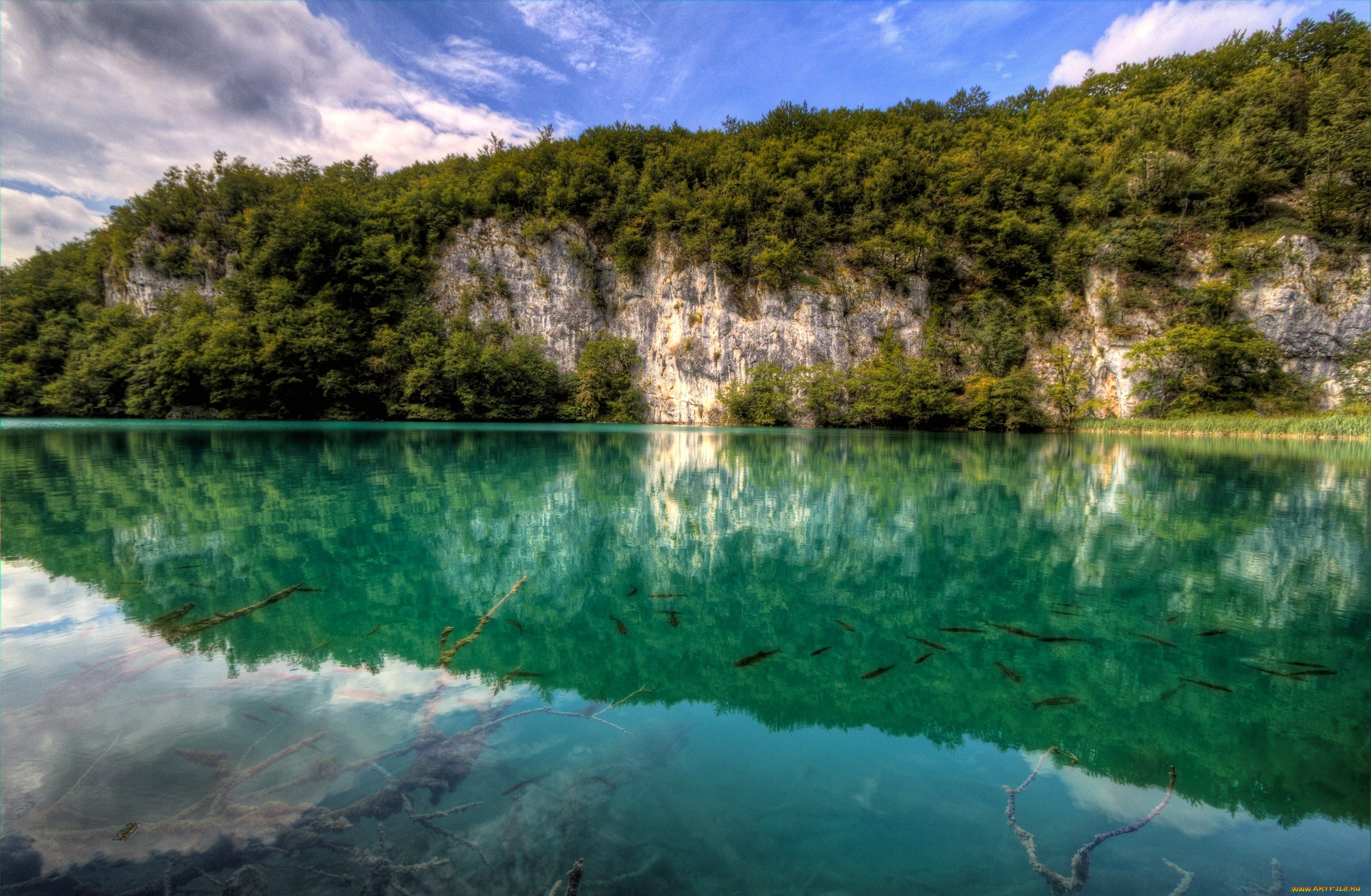 природа, реки, озера, вода, отражение, обрыв, лес