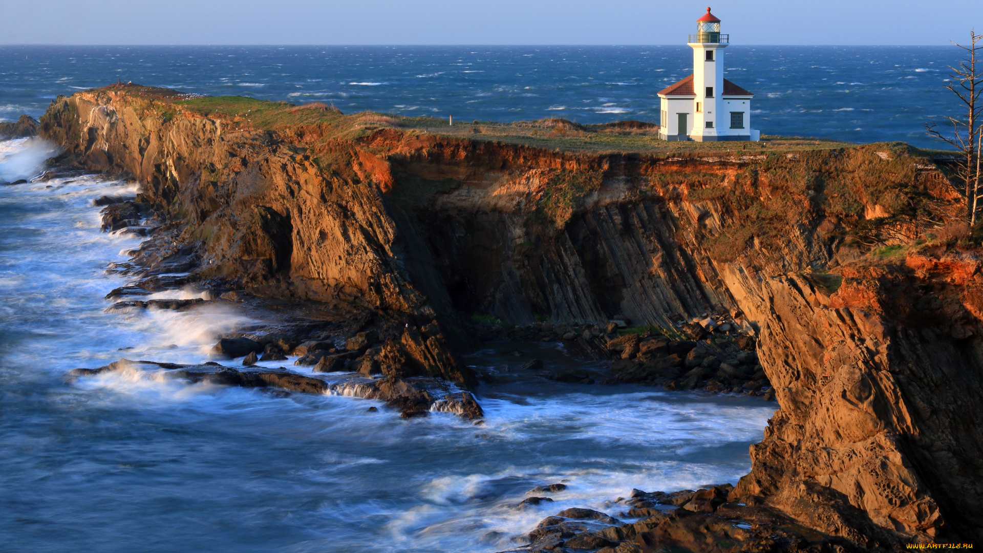 cape, arago, lighthouse, природа, маяки, побережье, тихий, океан, скалы