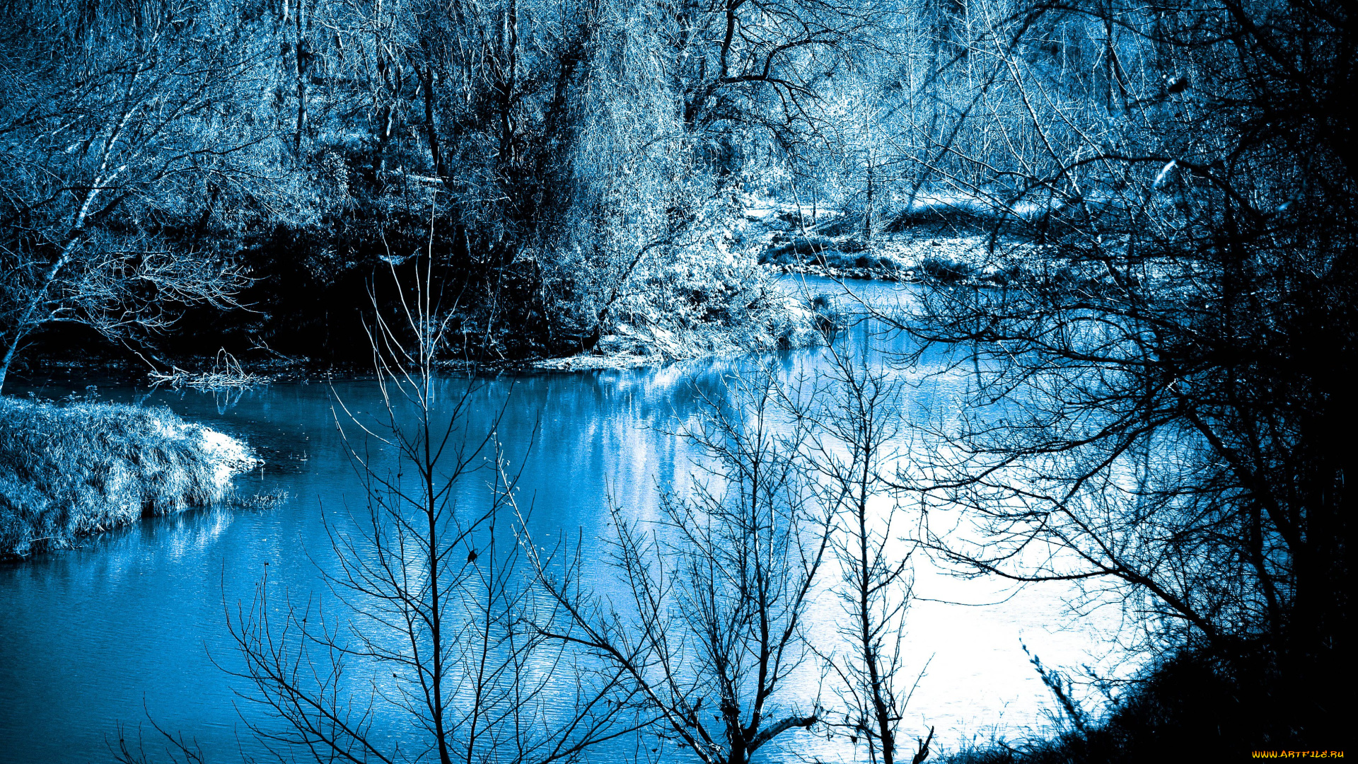 пейзаж, природа, реки, озера, ночь, речка, водоём, лес, кусты, деревья