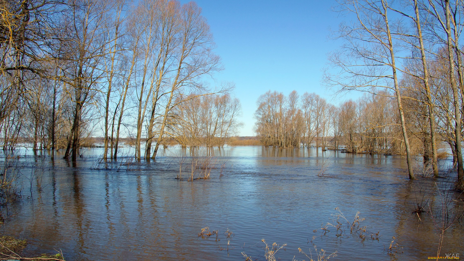 половодье, на, пьяне, природа, реки, озера, разлив, река