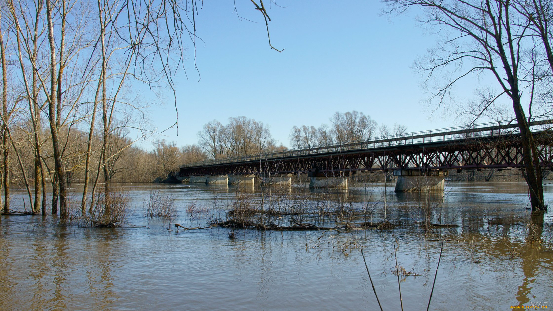половодье, на, пьяне, природа, реки, озера, река, разлив, мост, деревья