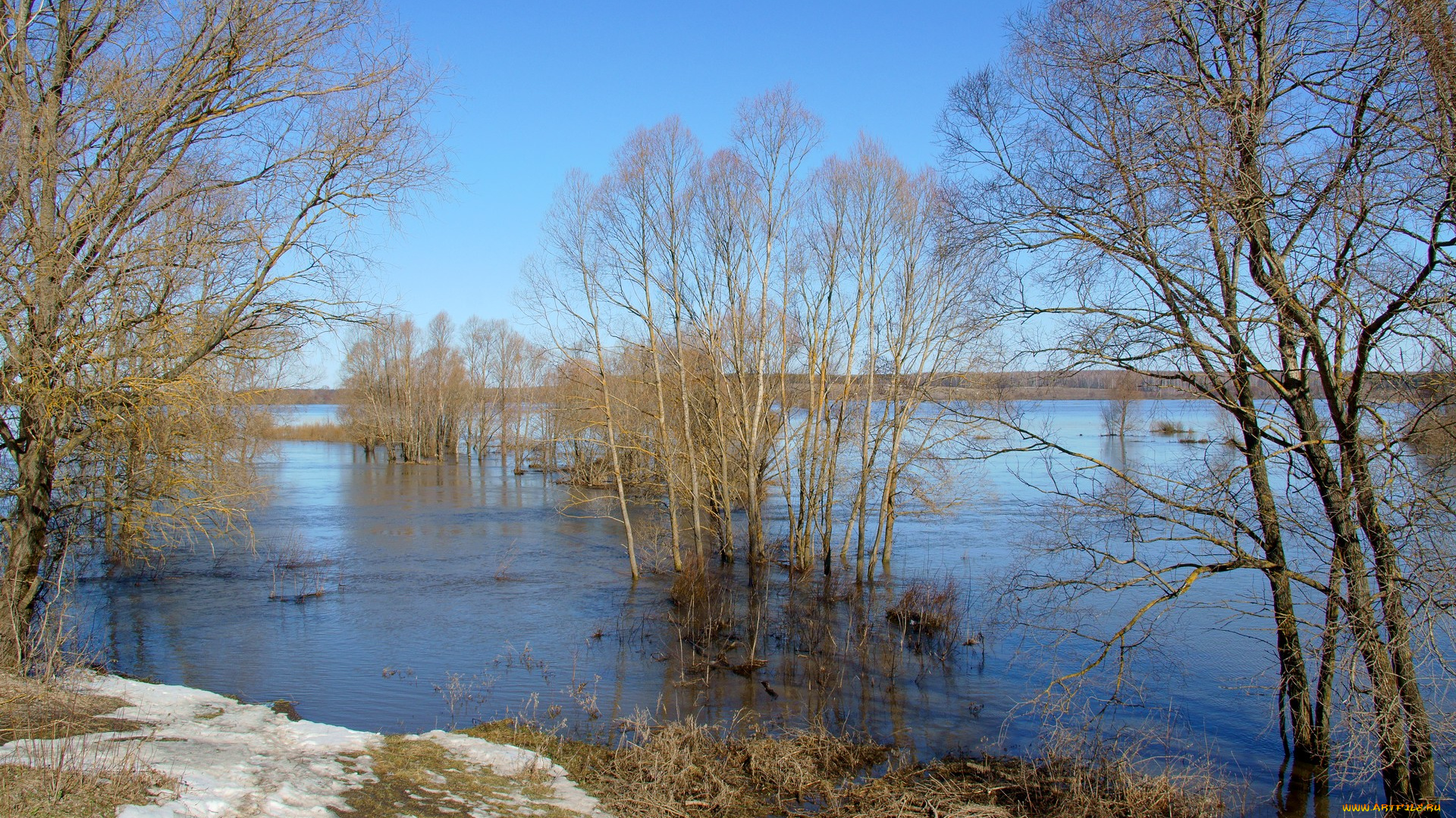 половодье, на, пьяне, природа, реки, озера, река, разлив, деревья