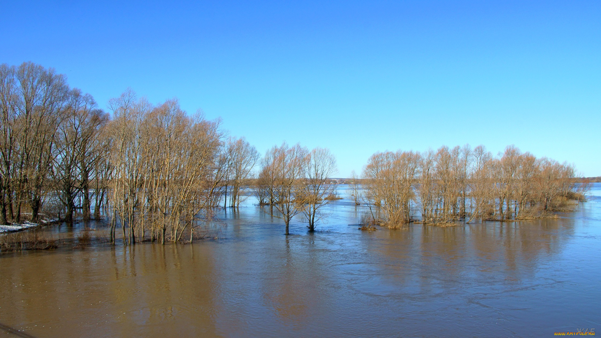 половодье, на, пьяне, природа, реки, озера, река, разлив, деревья
