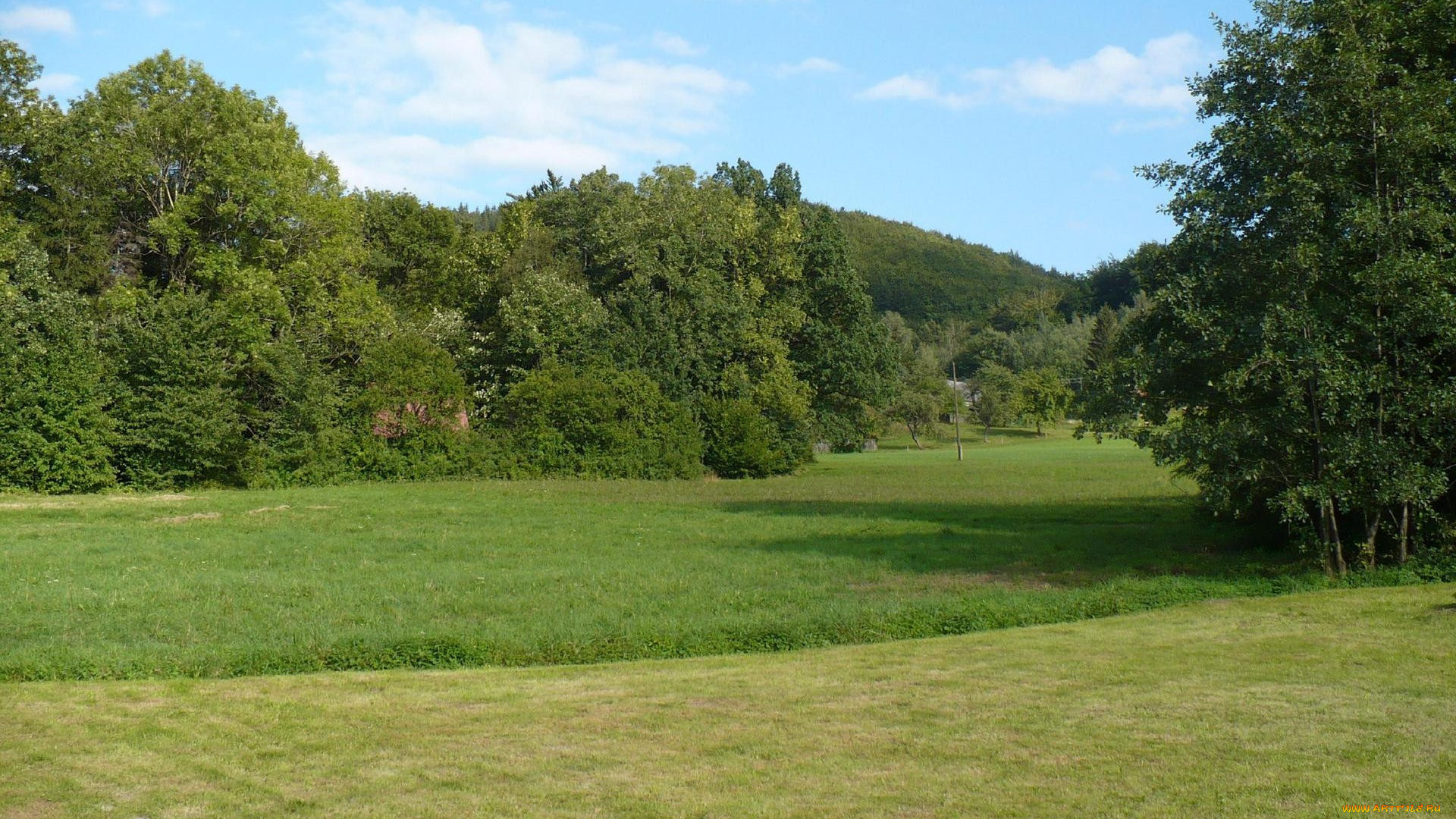 природа, луга, луг, деревья