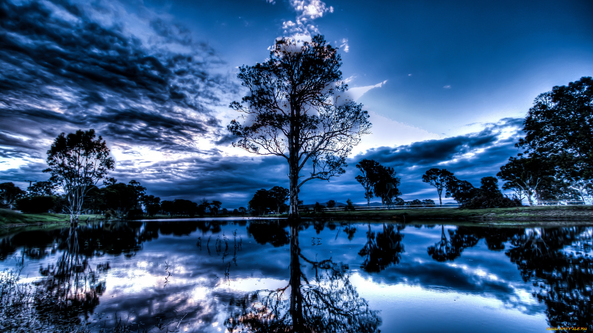 природа, реки, озера, австралия, вода, вечер, деревья, отражение