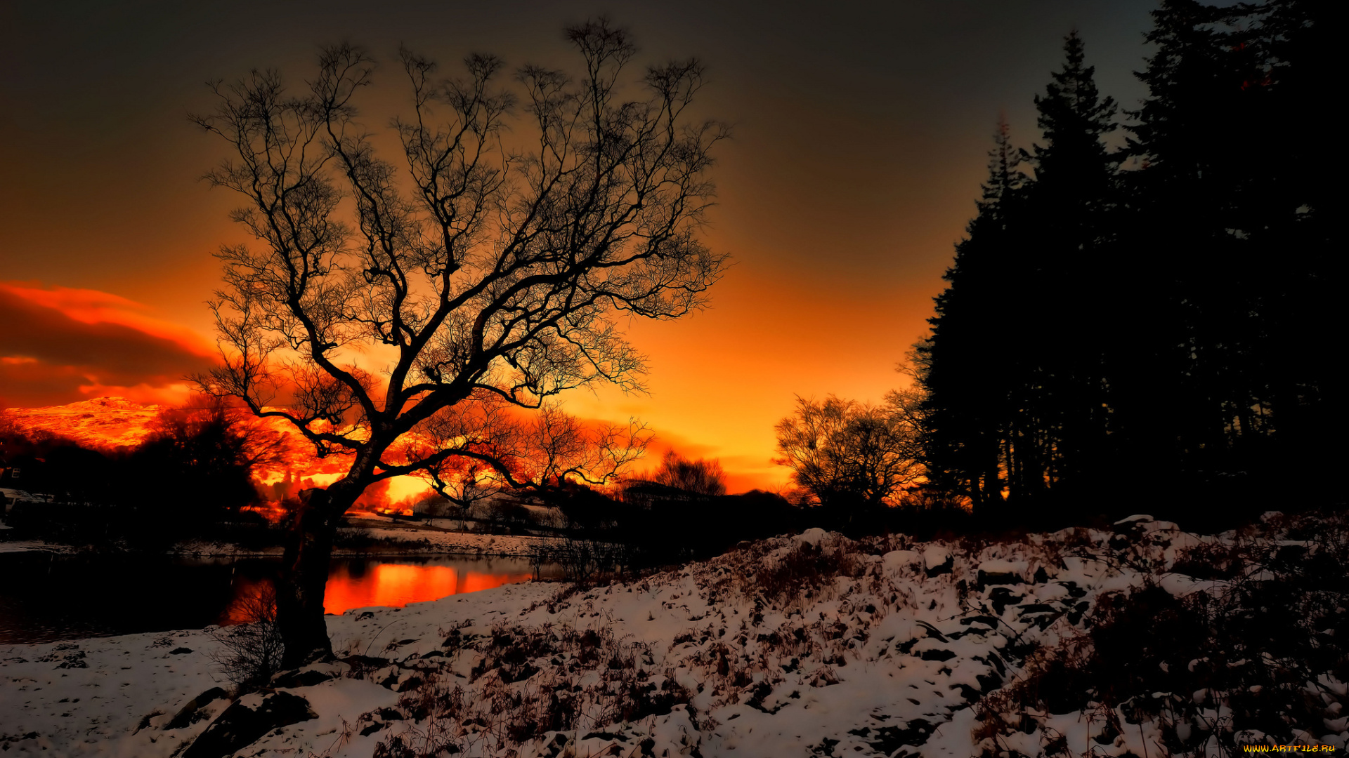 природа, восходы, закаты, река, лес, снег, трава, сумерки, солнце