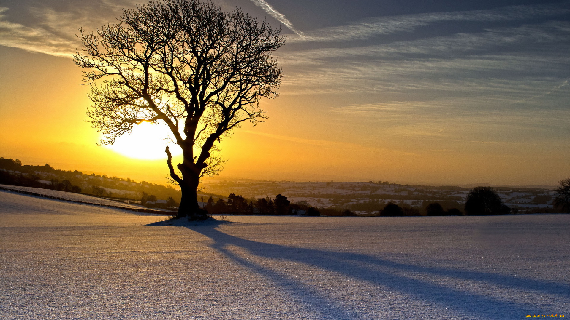 природа, восходы, закаты, солнце, свет, дерево, поле, снег