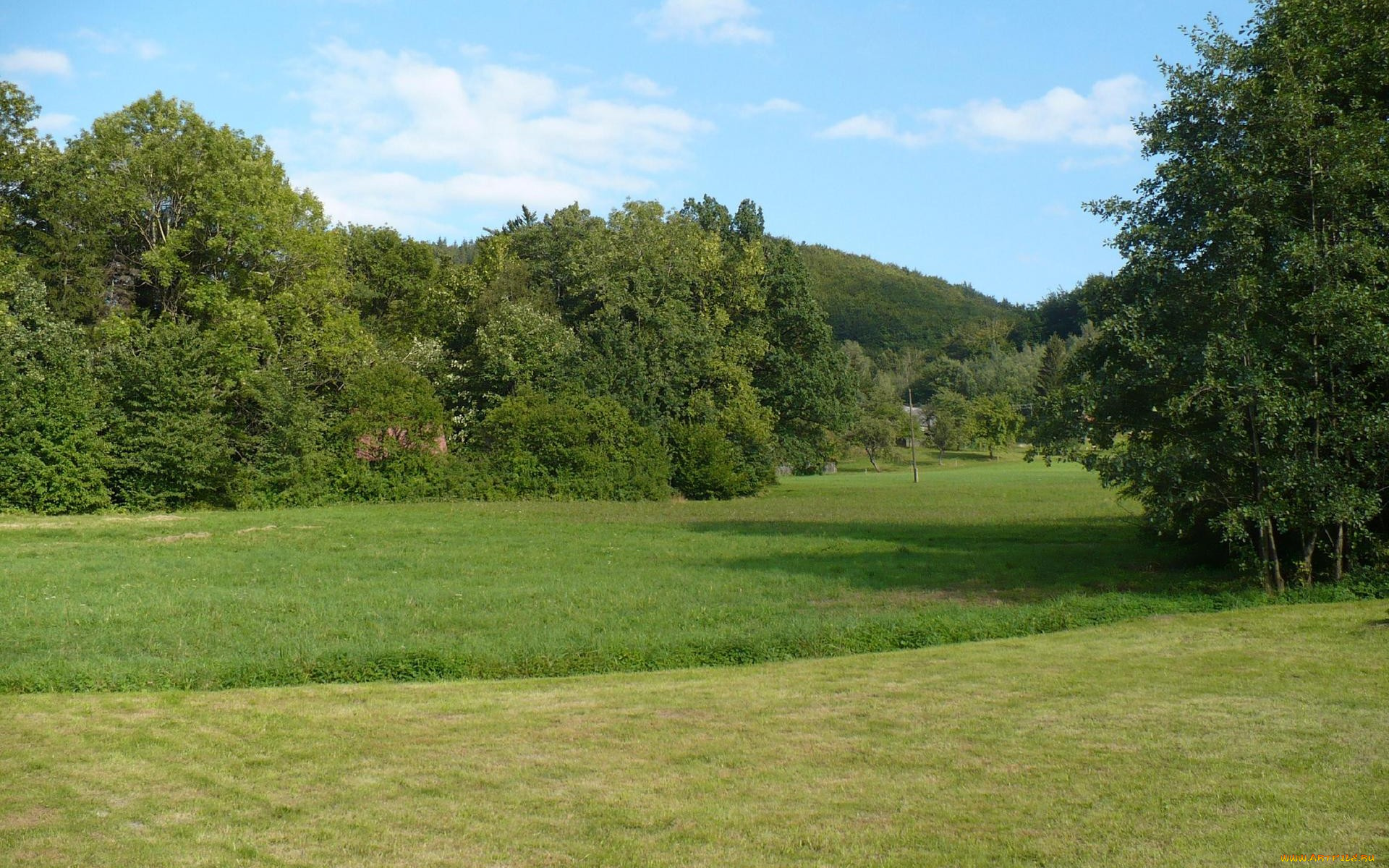 природа, луга, луг, деревья