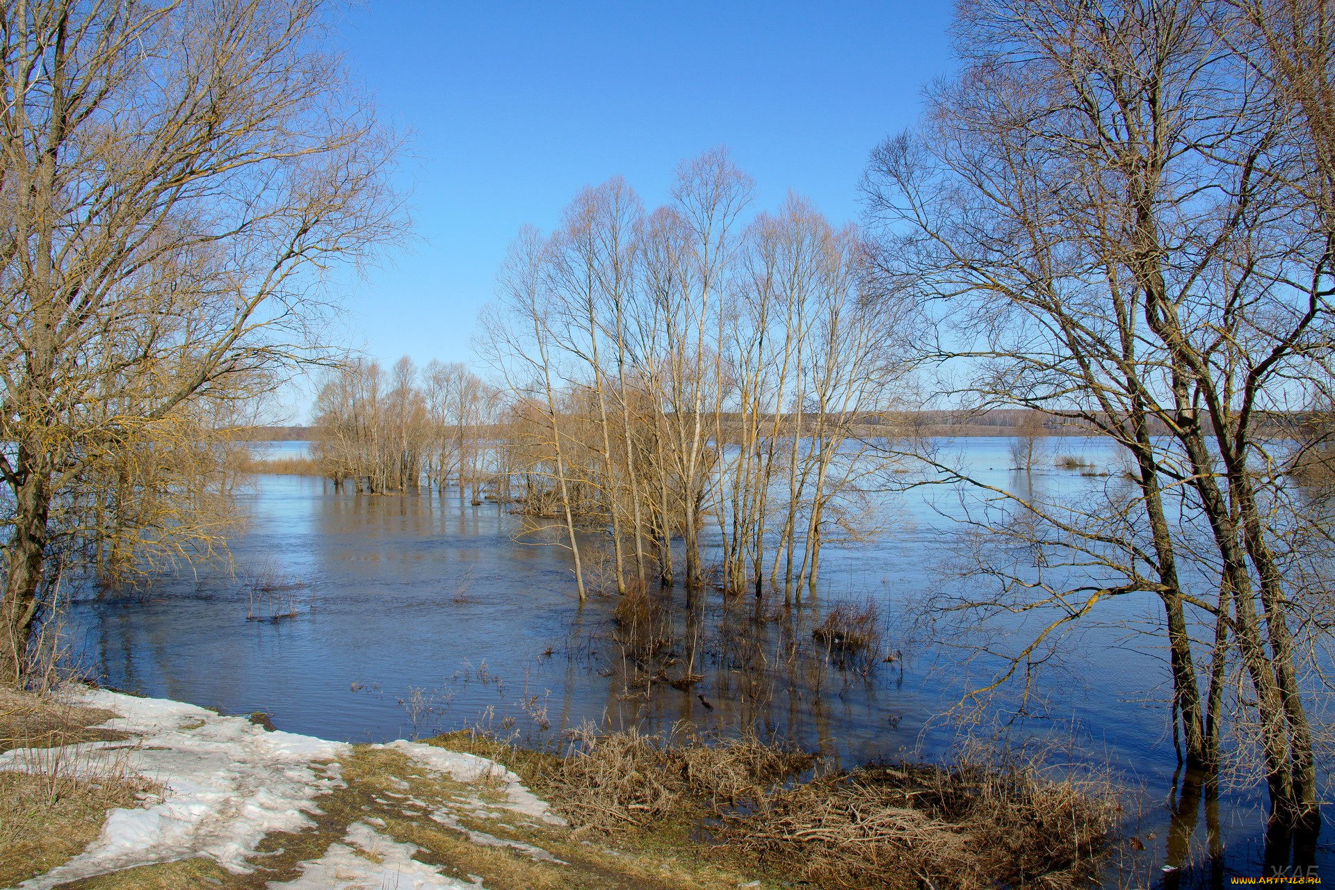половодье, на, пьяне, природа, реки, озера, река, разлив, деревья