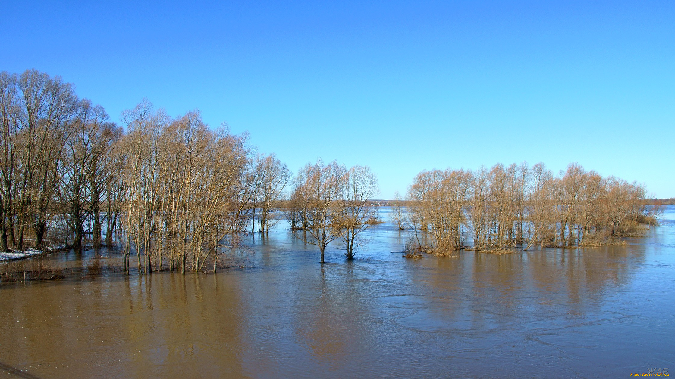 половодье, на, пьяне, природа, реки, озера, река, разлив, деревья