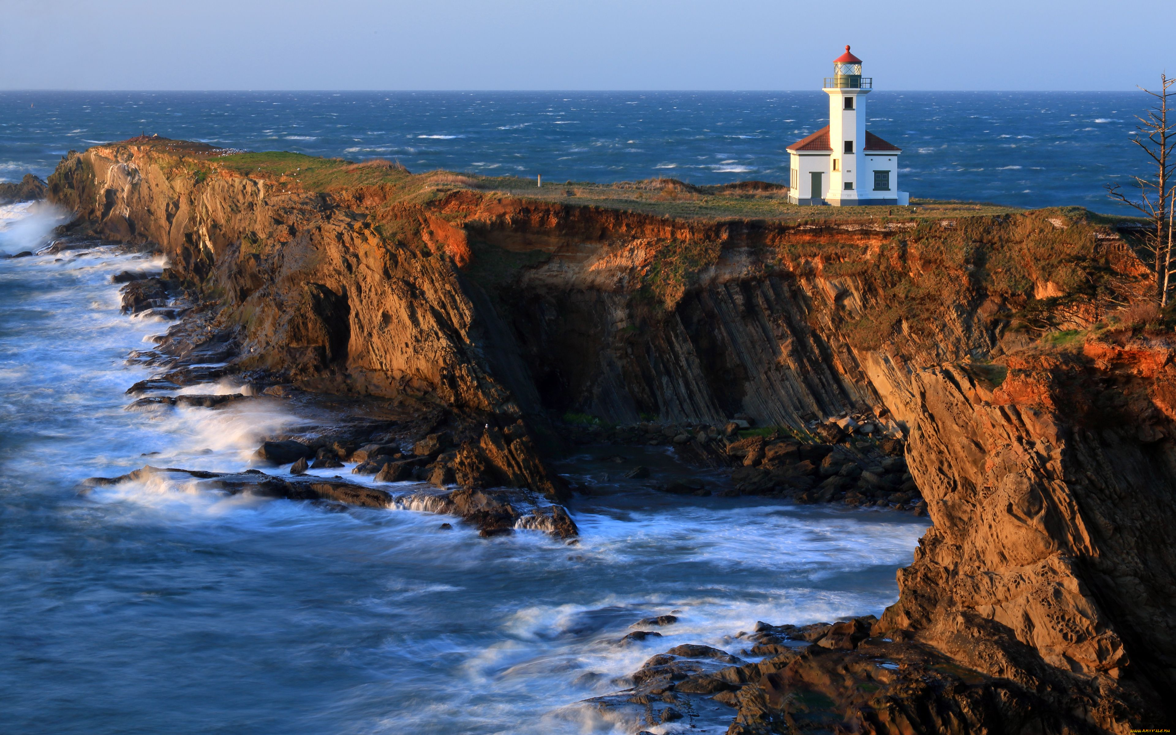 cape, arago, lighthouse, природа, маяки, побережье, тихий, океан, скалы