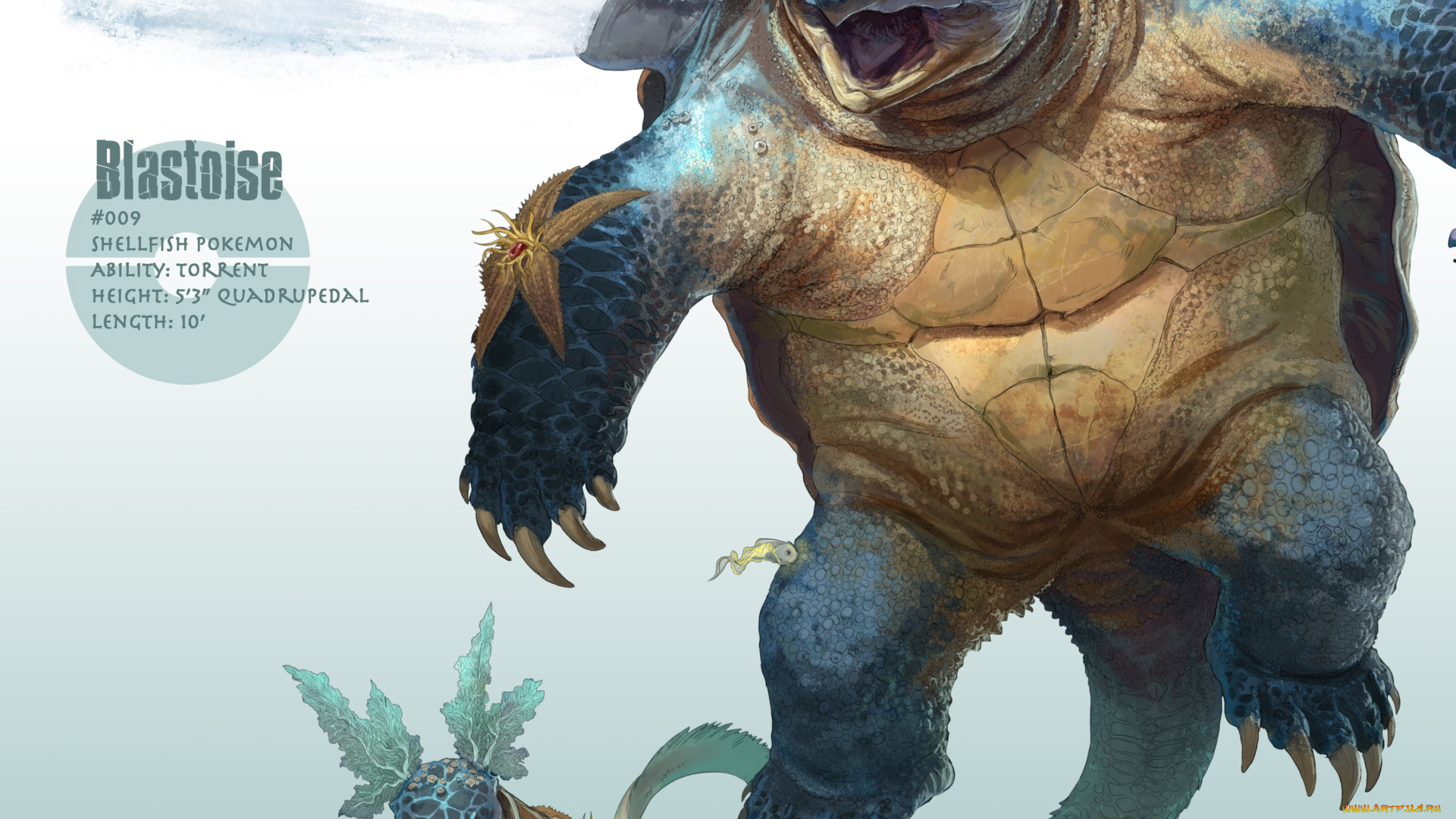 аниме, pokemon, звезда, покемон, устрица, черепаха, арт, краб, водяные, пушки, светлый, фон, бластуаз, выстрел