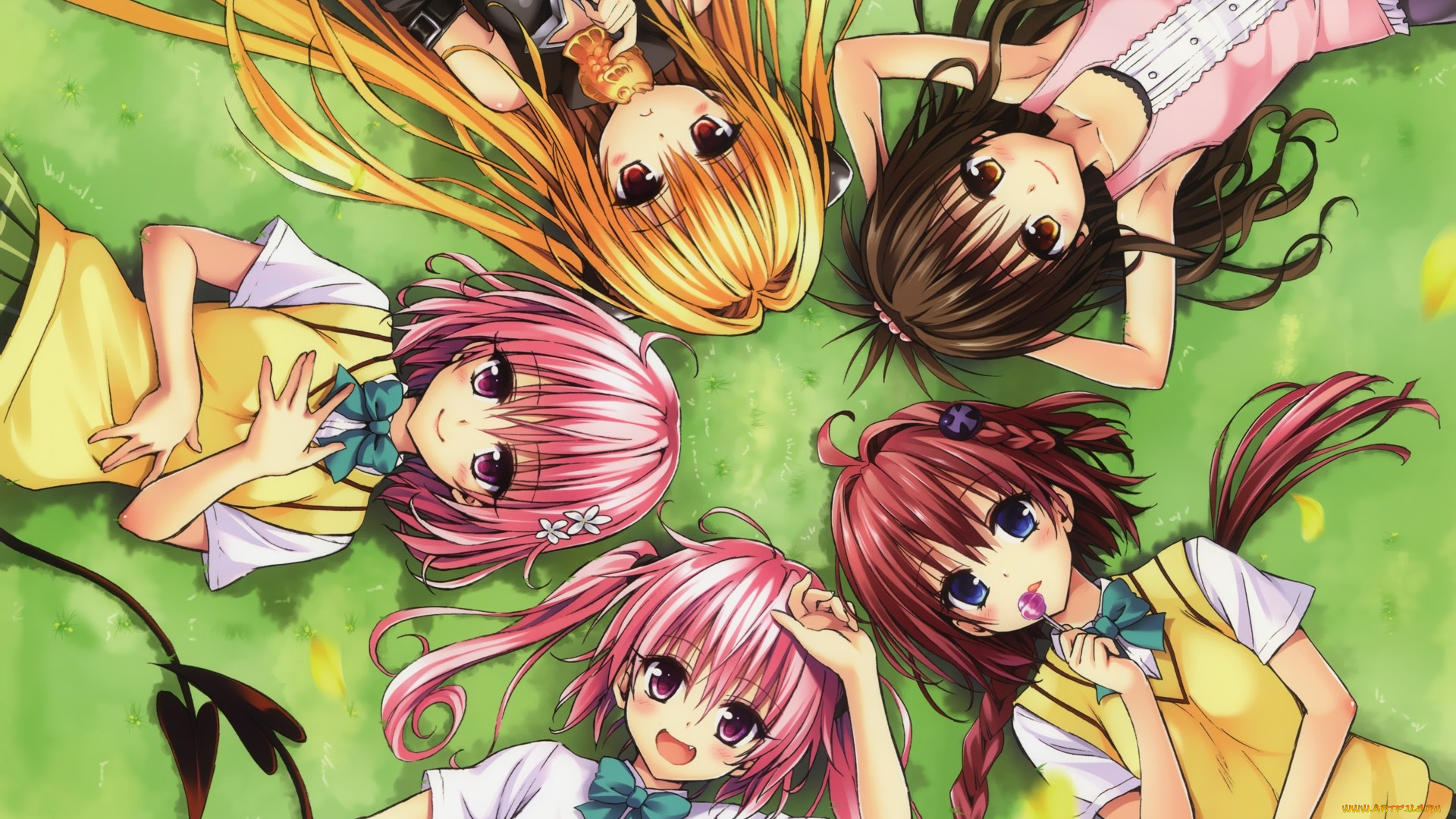 аниме, to-love-ru, трава, девушки, подруги, хвостик