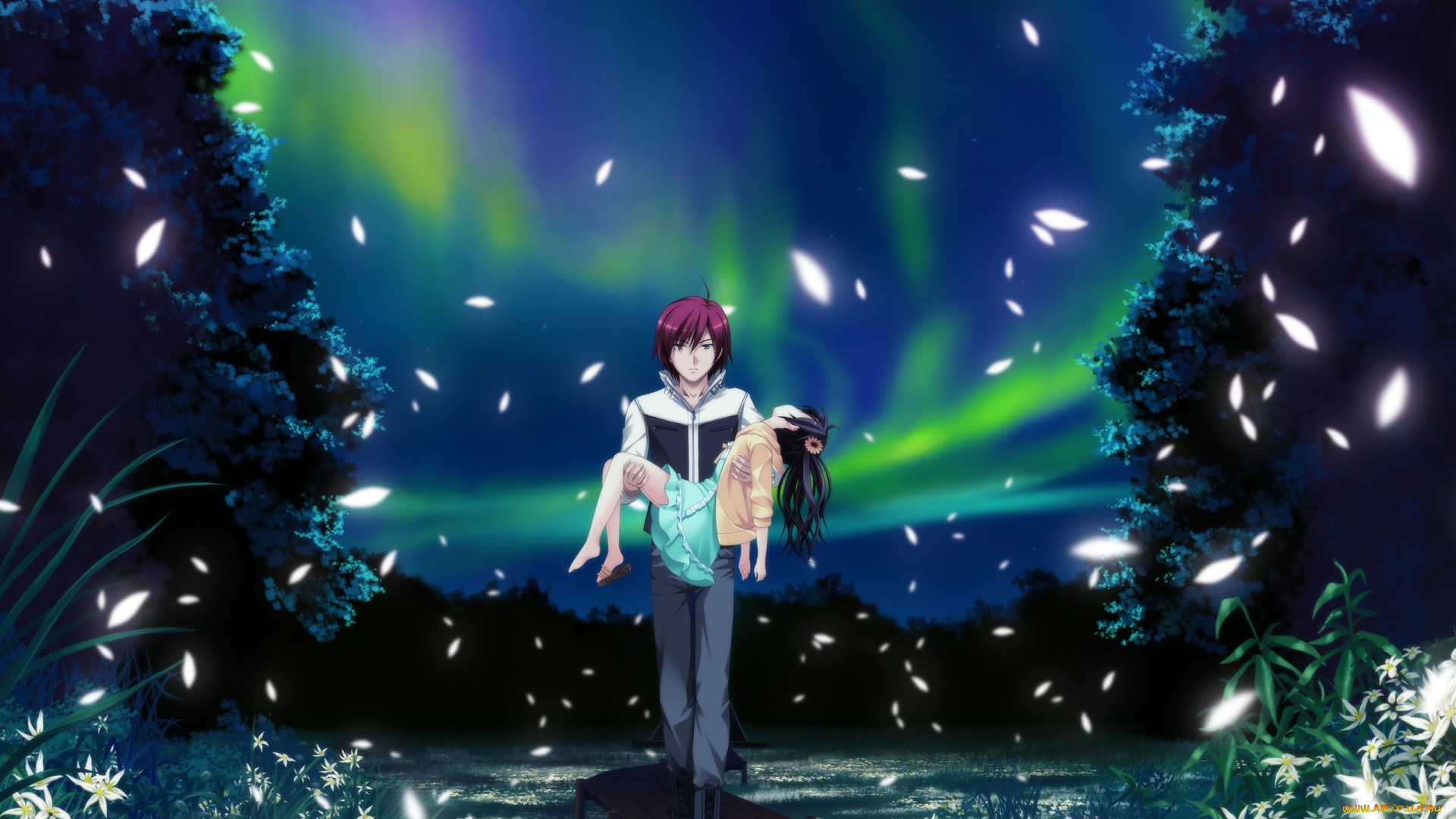 аниме, *unknown, , другое, звезды, небо, природа, ночь, парень, девушка, цветы, трава, северное, сияние, деревья, лепестки