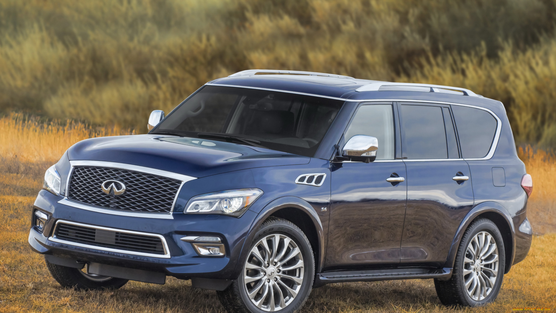 автомобили, infiniti, 2015, qx80, 5-6, z62