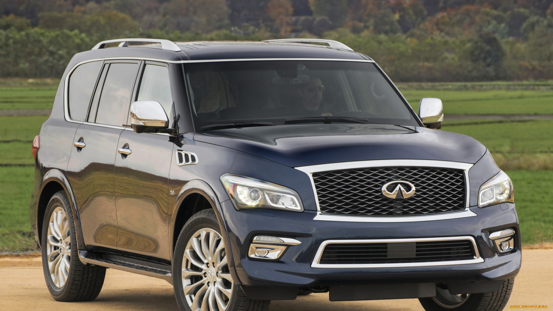 автомобили, infiniti, 2015, qx80, 5-6, z62