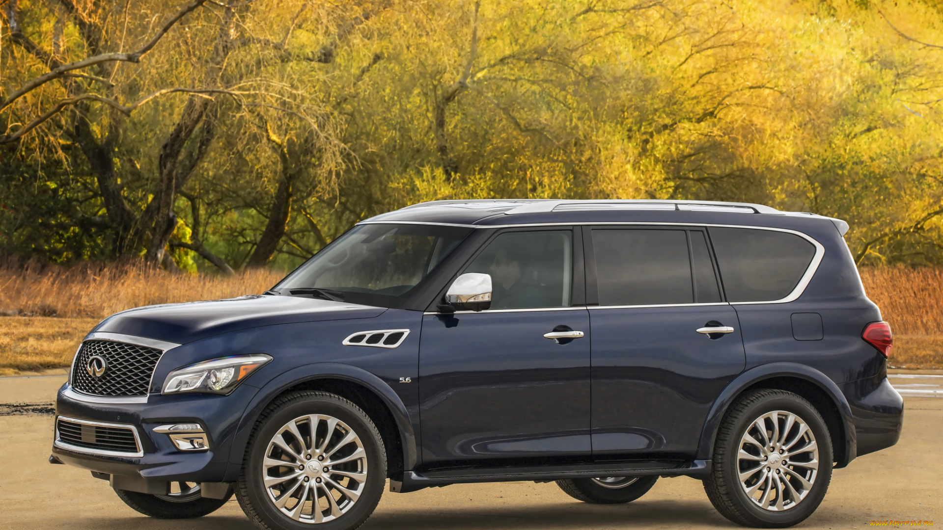 автомобили, infiniti, 2015, qx80, 5-6, z62