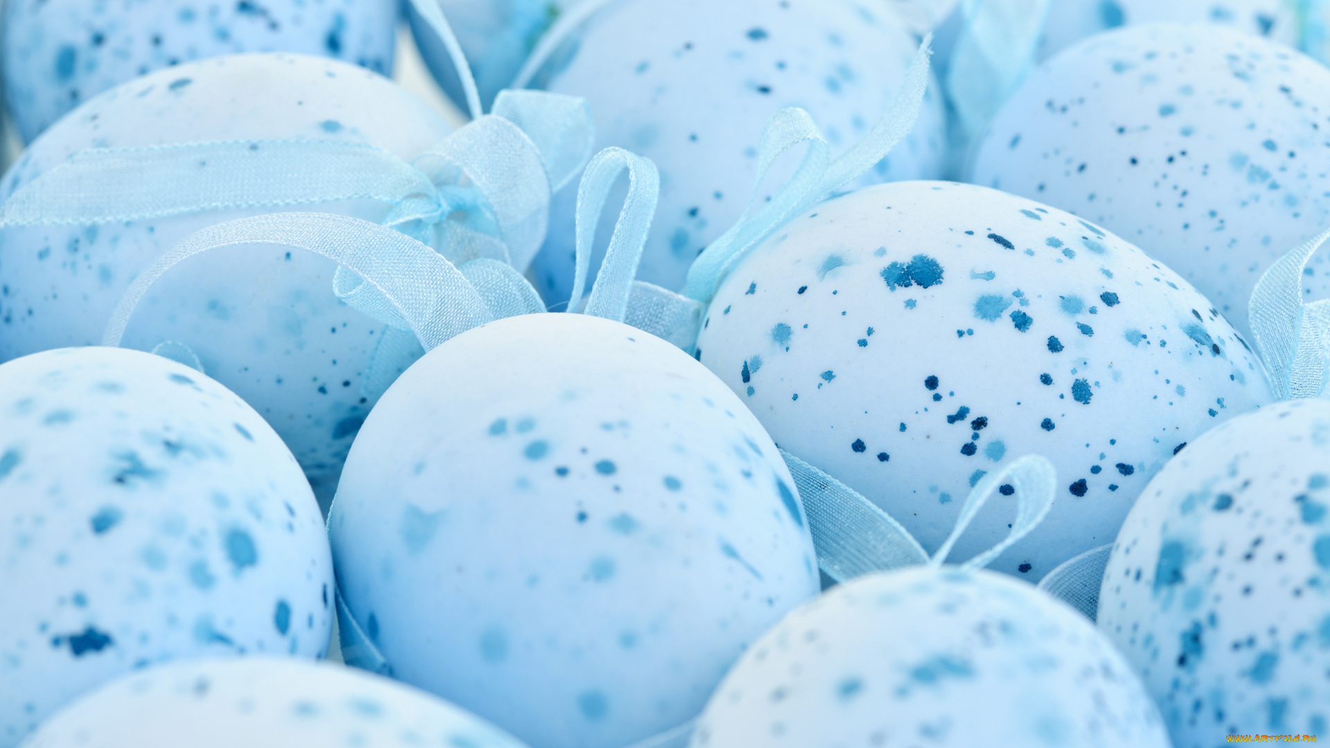 праздничные, пасха, ленточка, крапинка, голубой, яйца