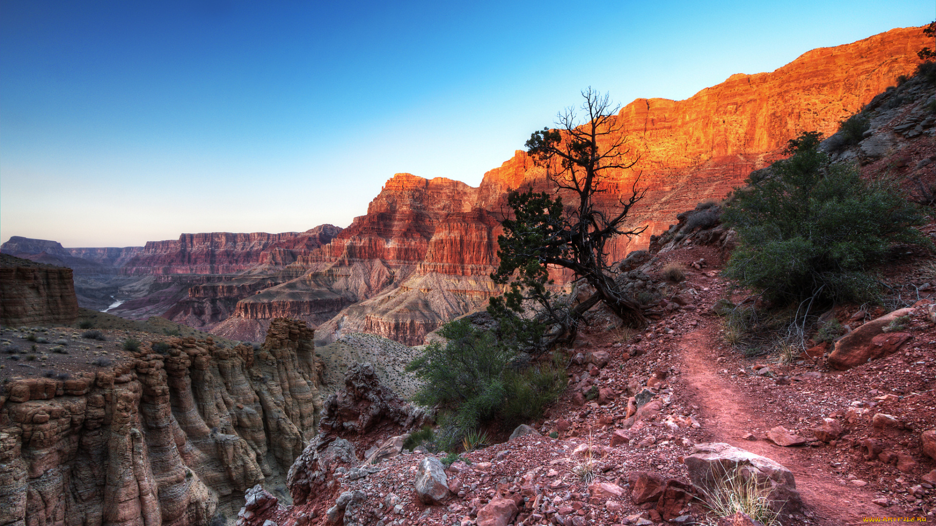 природа, горы, тропинка, ущелье, скалы, дерево