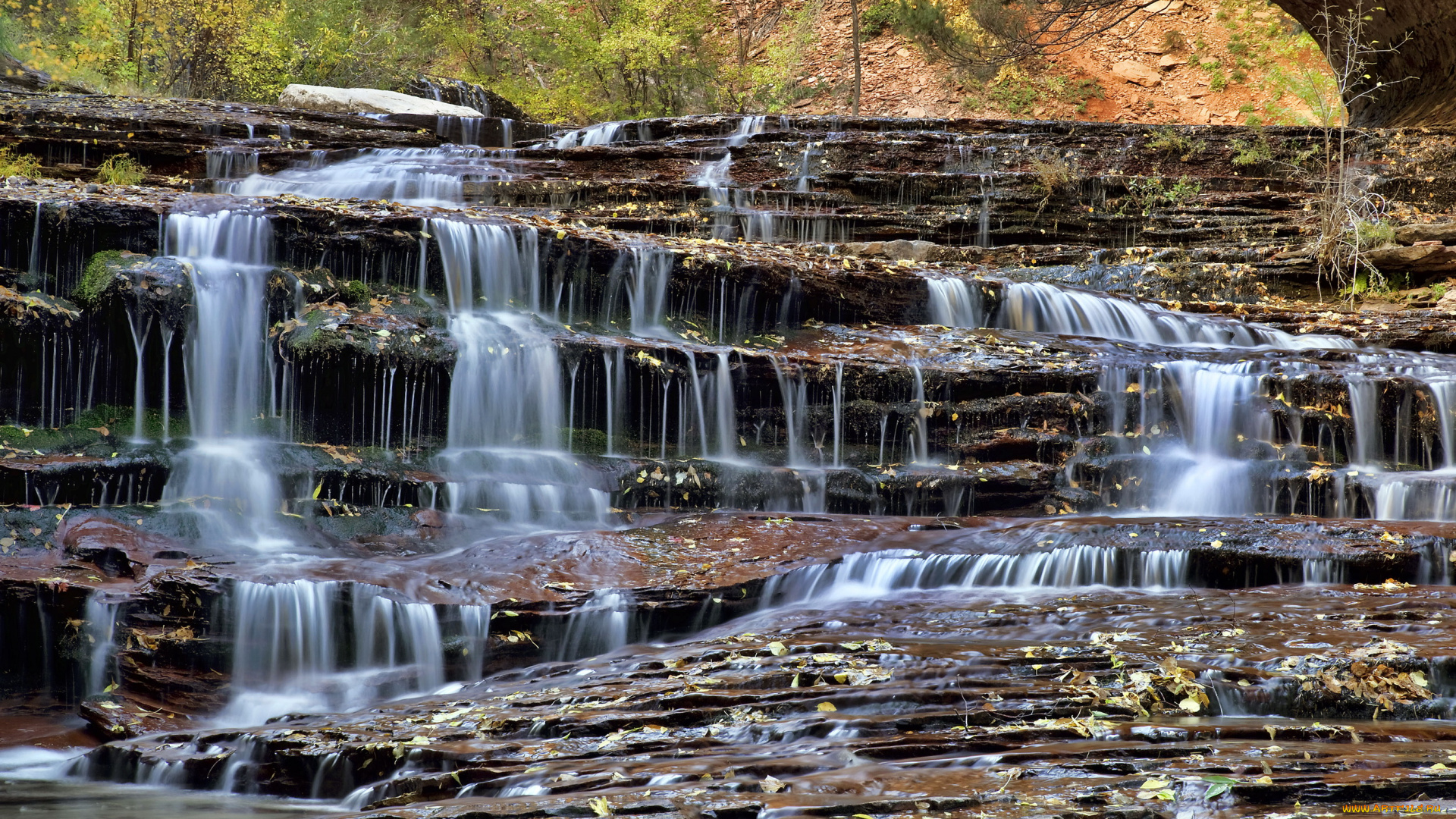 природа, водопады, zion, водопад, national, park