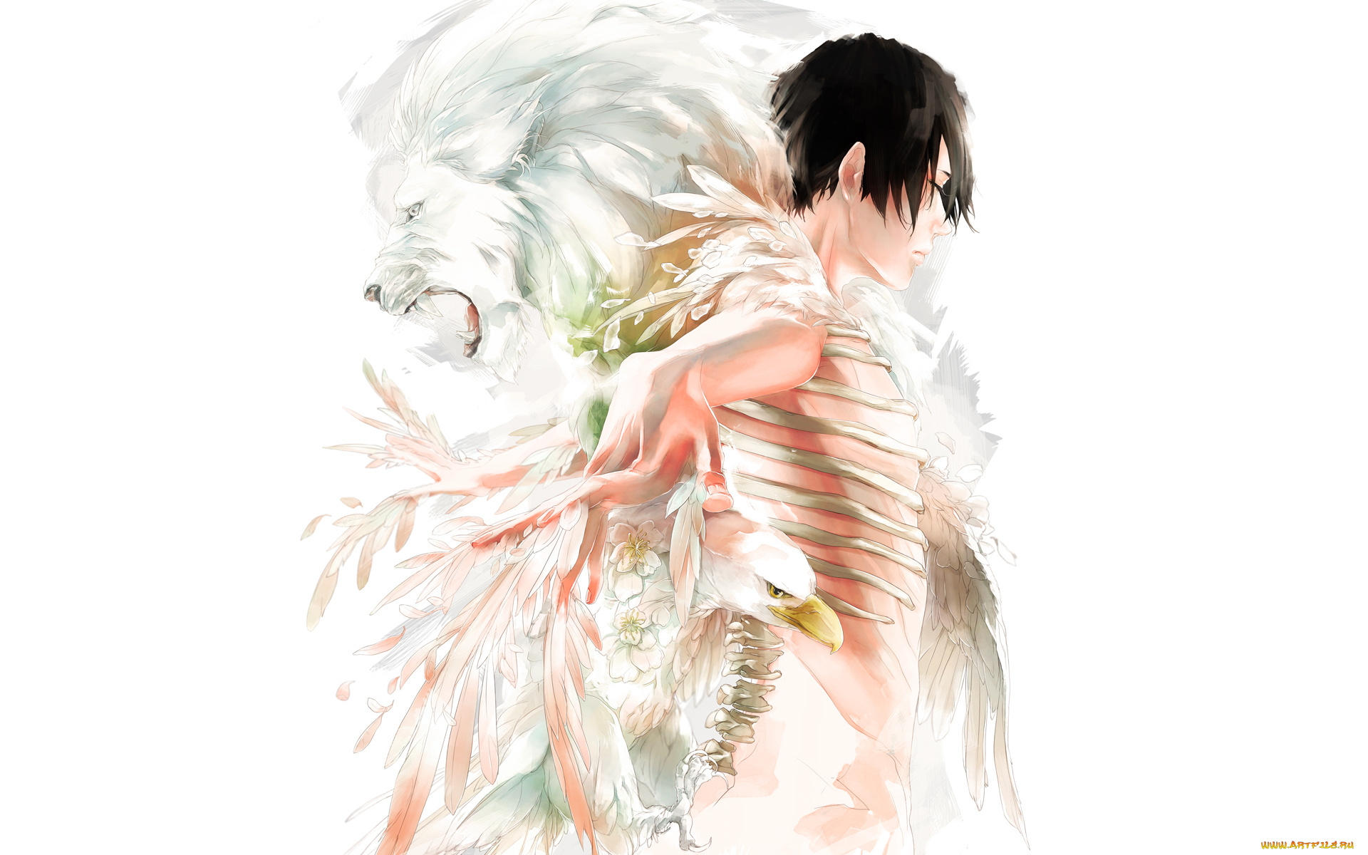 аниме, *unknown, , другое, перья, лев, парень, кости, птица