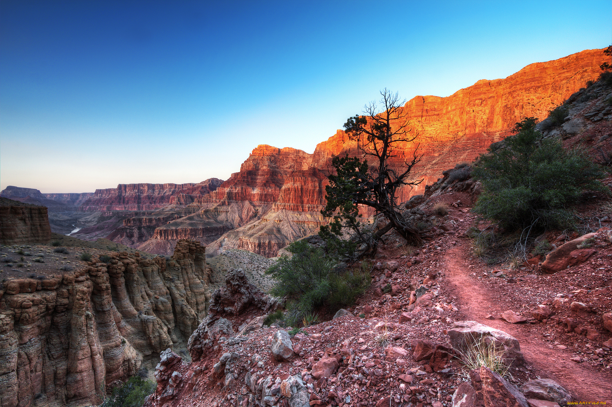 природа, горы, тропинка, ущелье, скалы, дерево