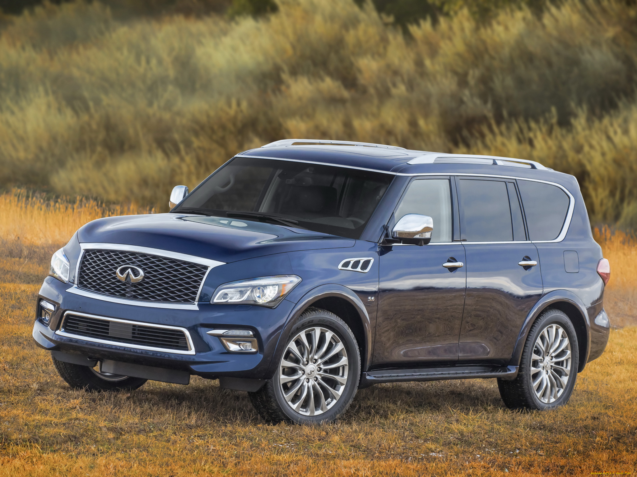 автомобили, infiniti, 2015, qx80, 5-6, z62