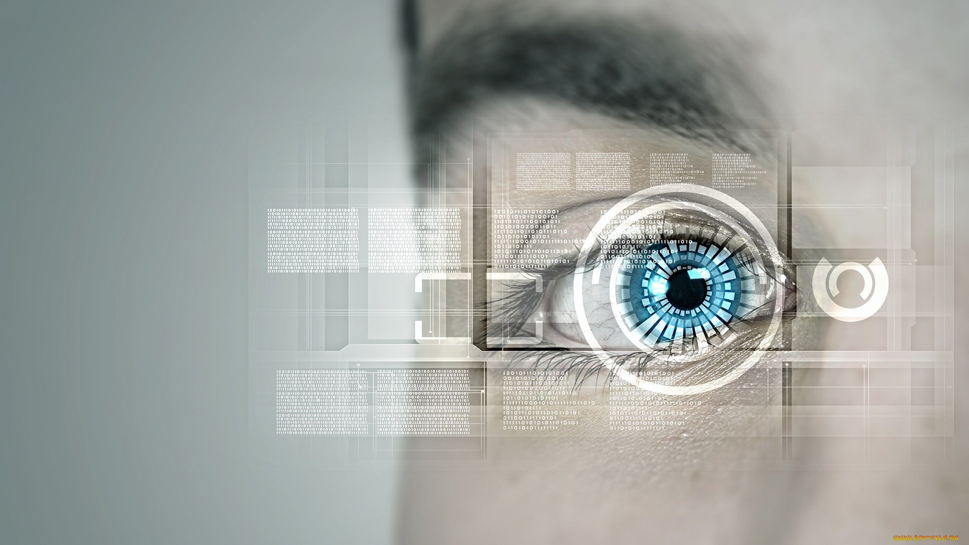 3д, графика, глаза, , eyes, схема, бровь, лицо, взгляд, глаз