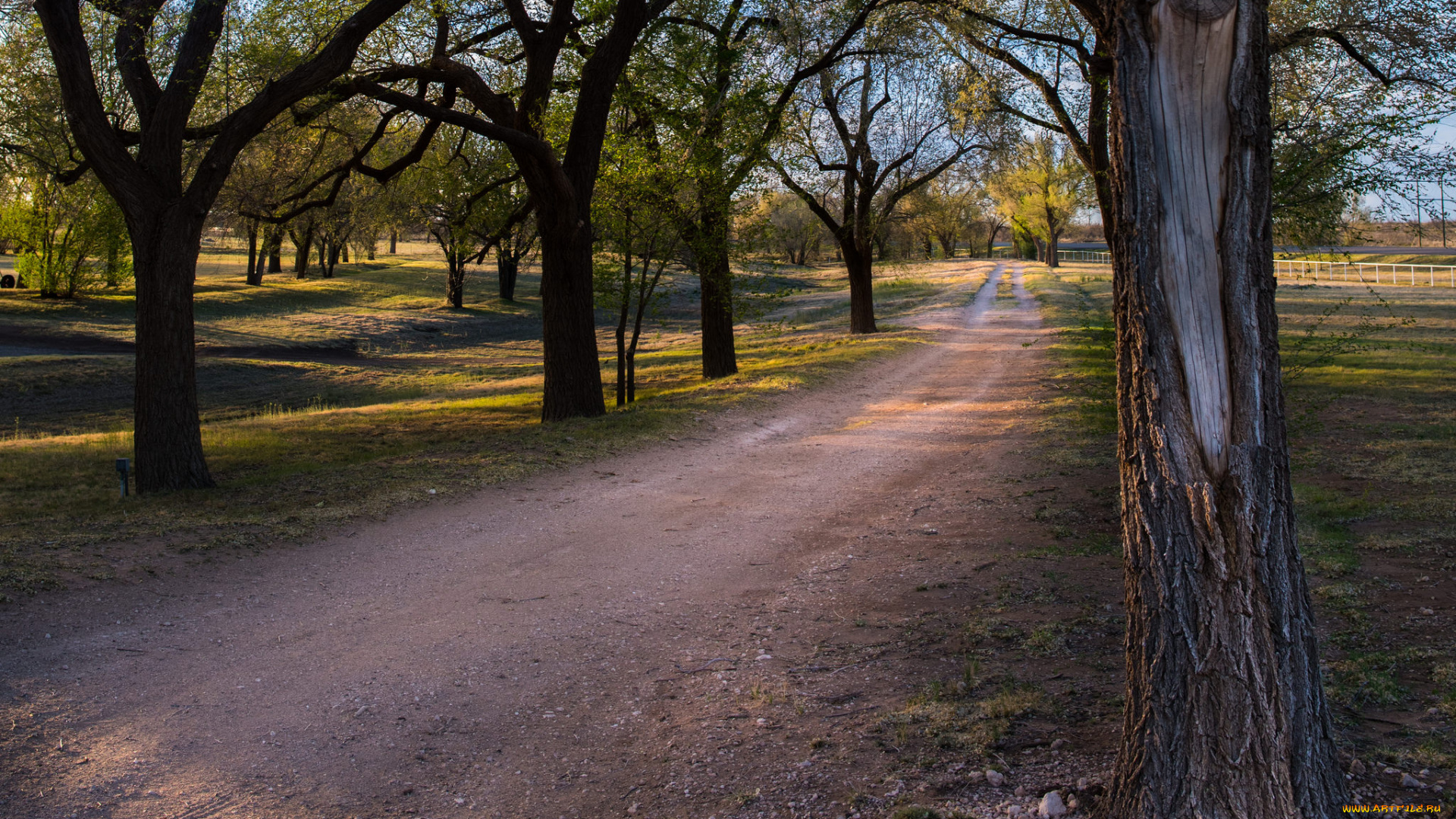 природа, дороги, тракт